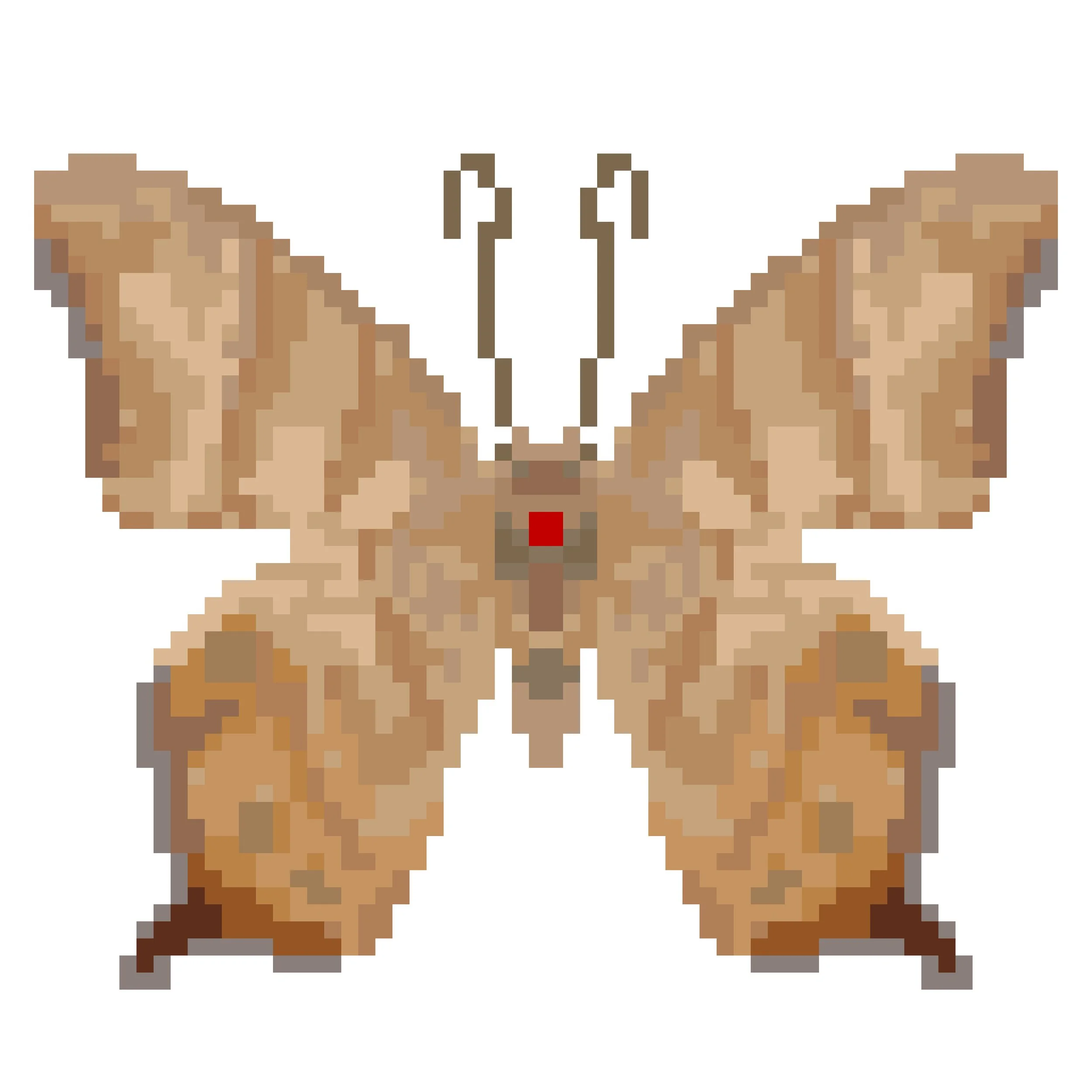 Wingpin#0539-Lethe sinorix.jpg