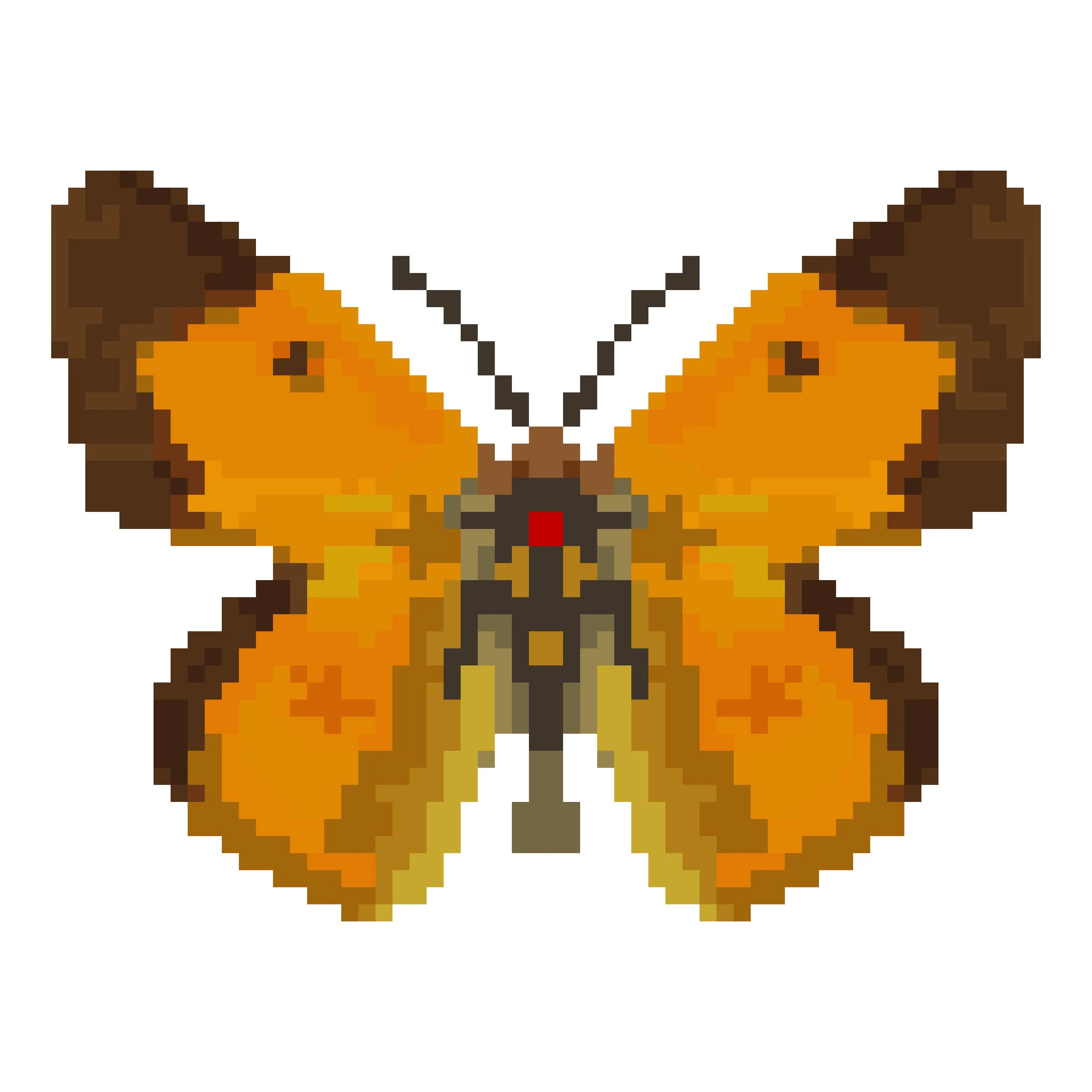 Wingpin#0186-Colias vauthieri.jpg