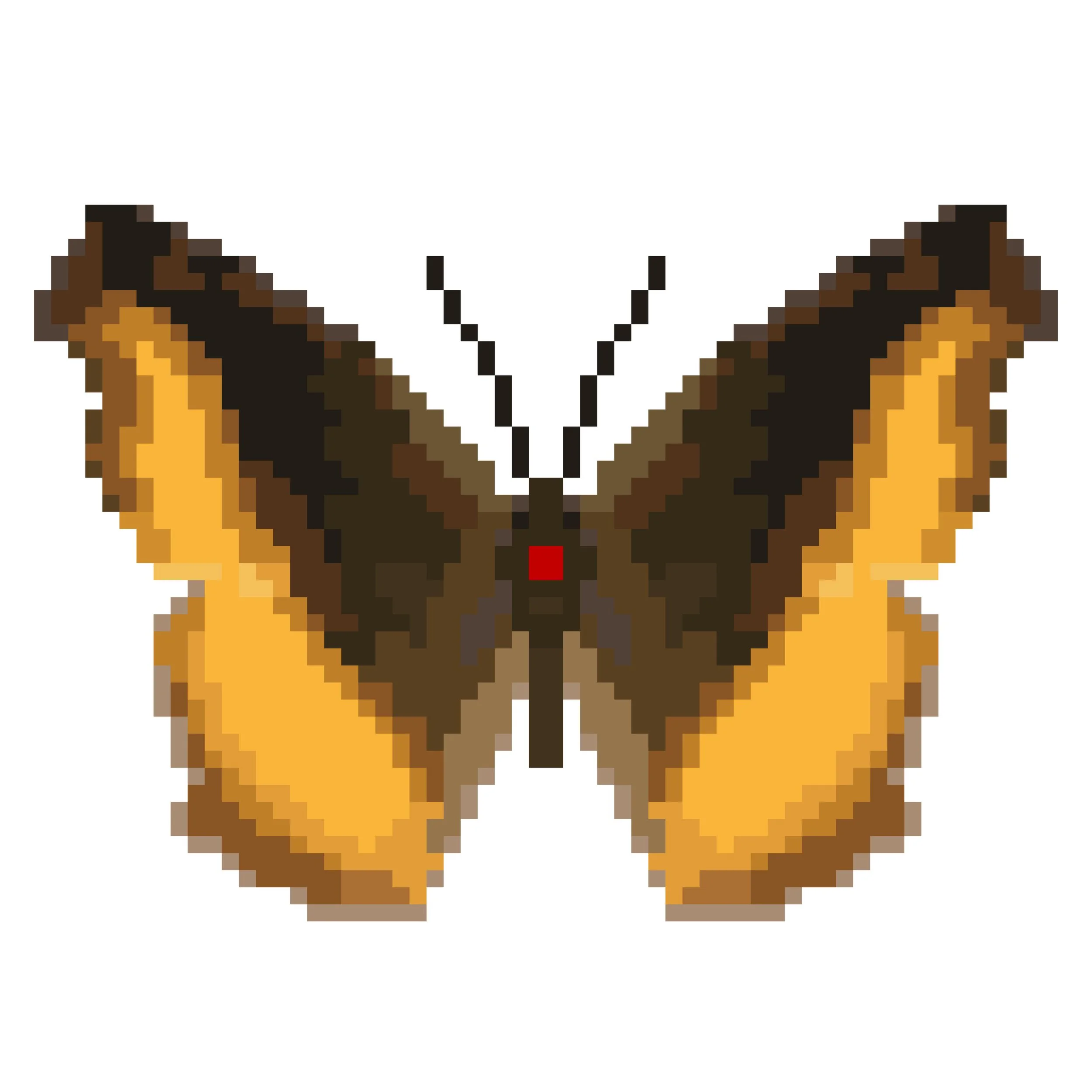 Wingpin#0173-Eurytela dryope.jpg