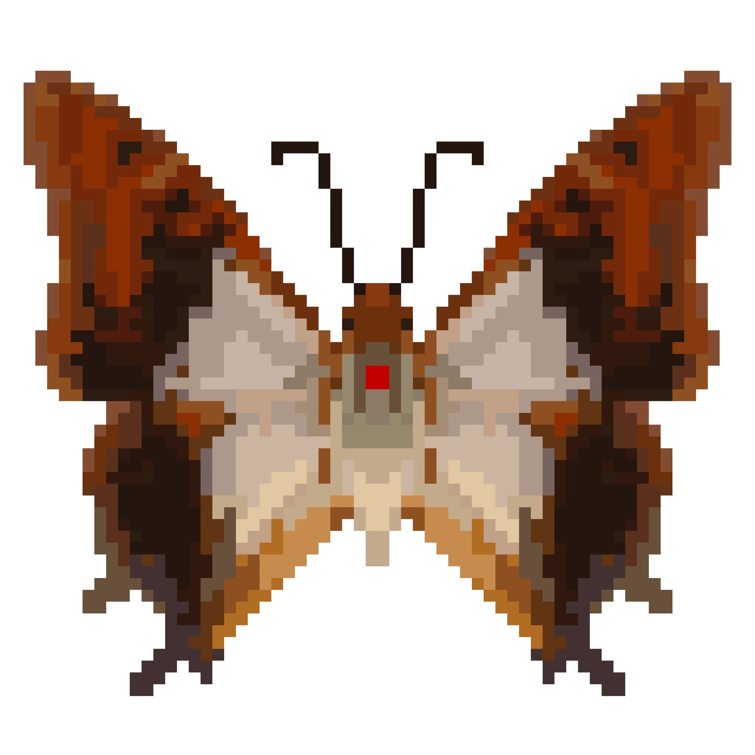 Wingpin#0151-Charaxes lactetinctus.jpg