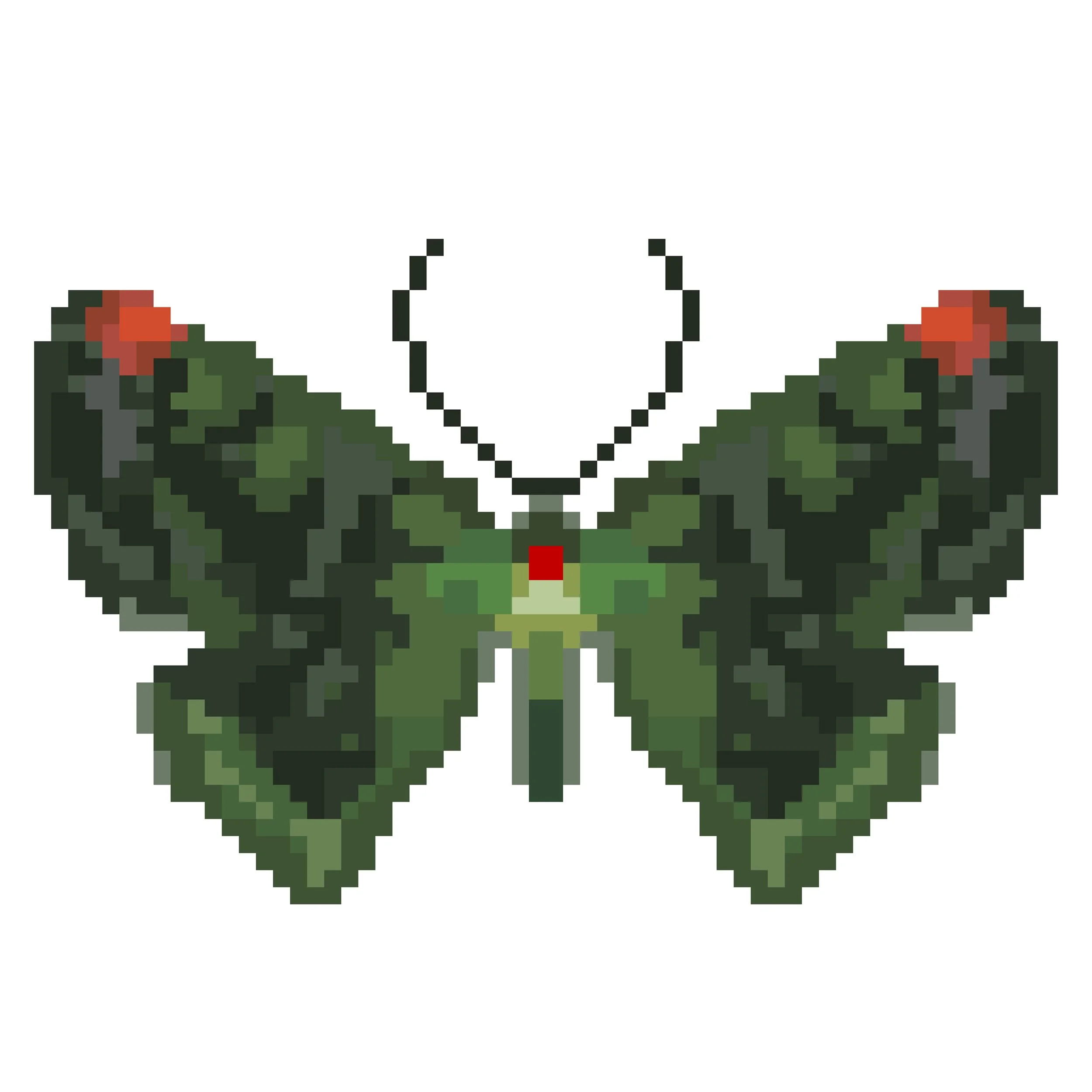 Wingpin#0933-Caria plutargus.jpg