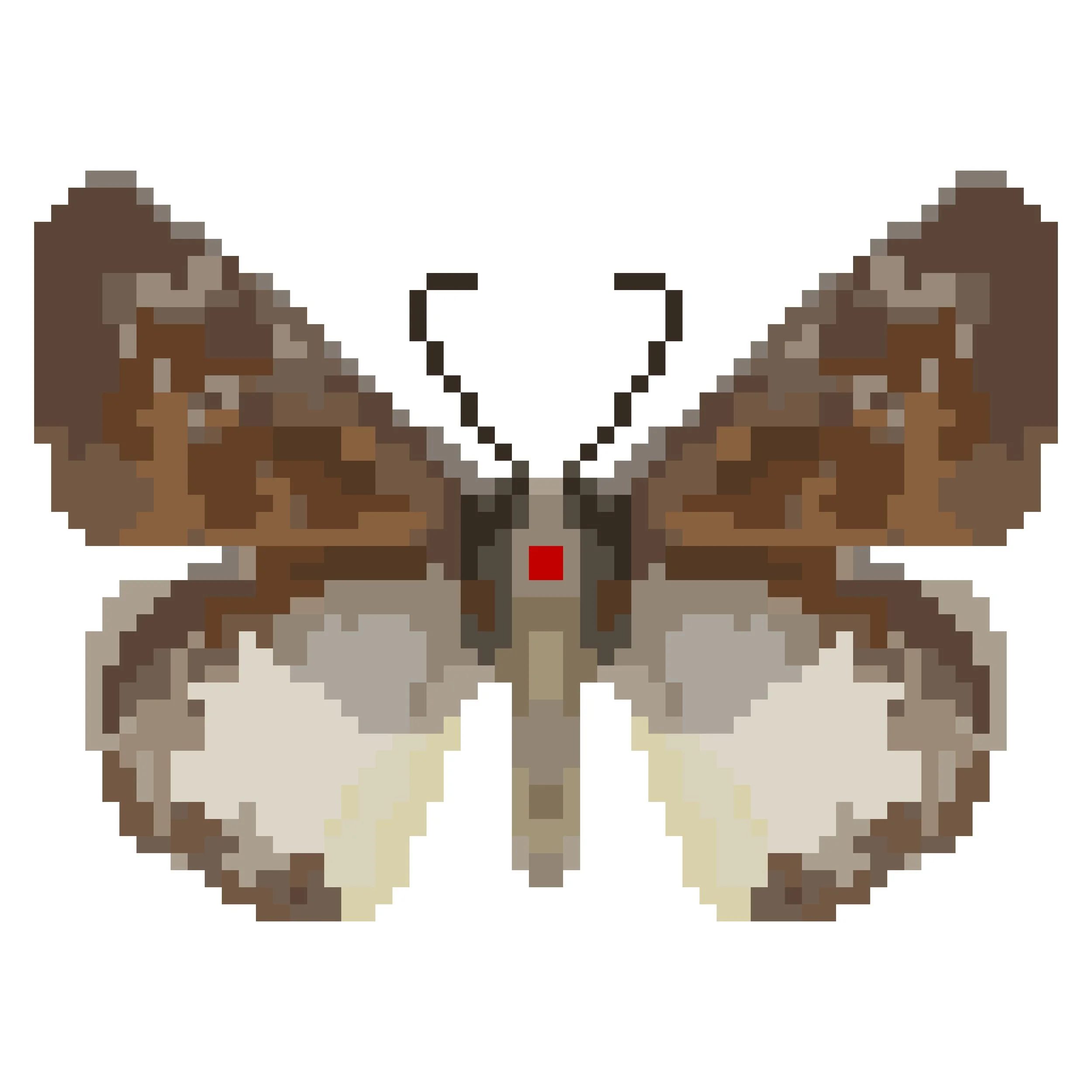 Wingpin#0469-Tagiades litigiosa.jpg