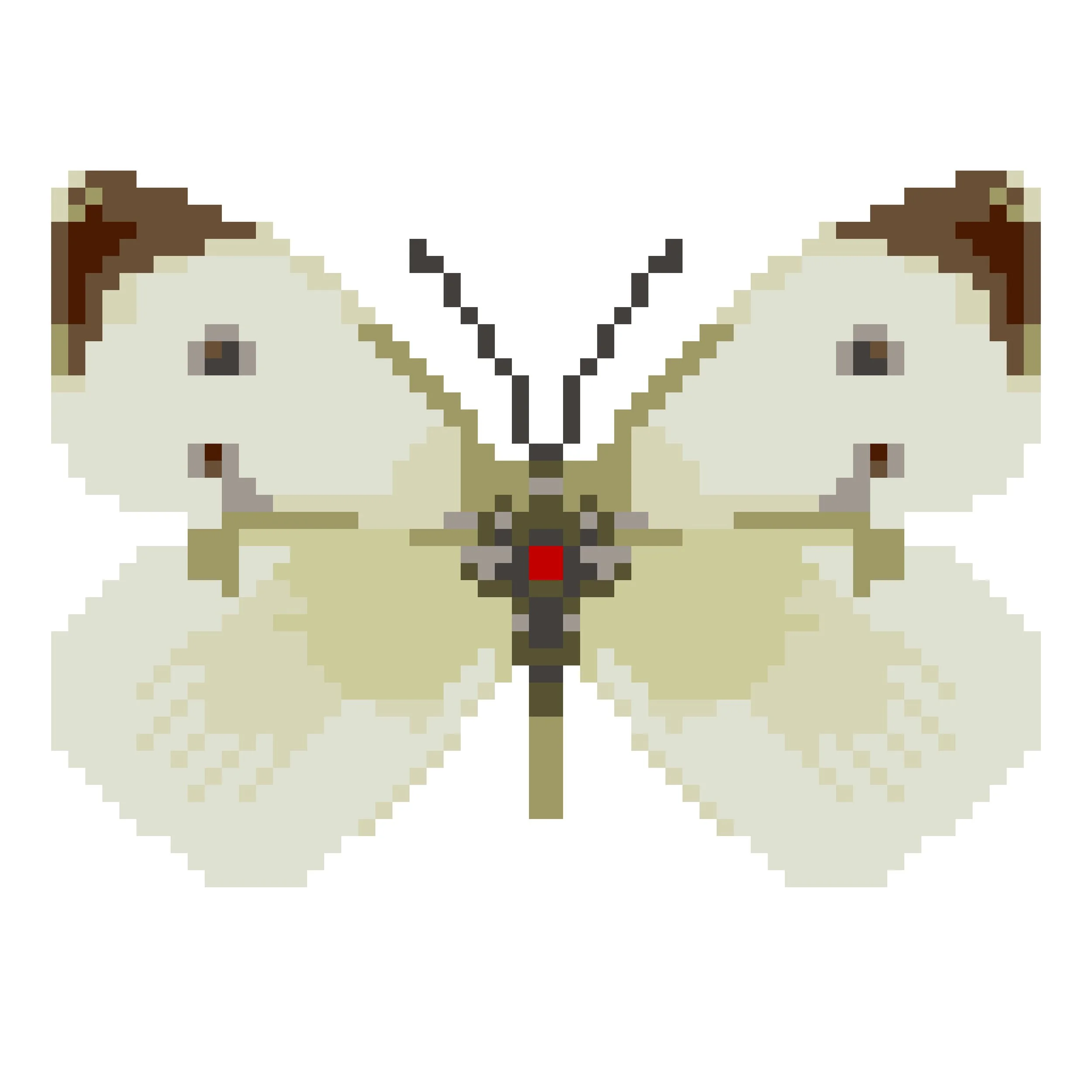 Wingpin#0040-Pieris brassicae.jpg