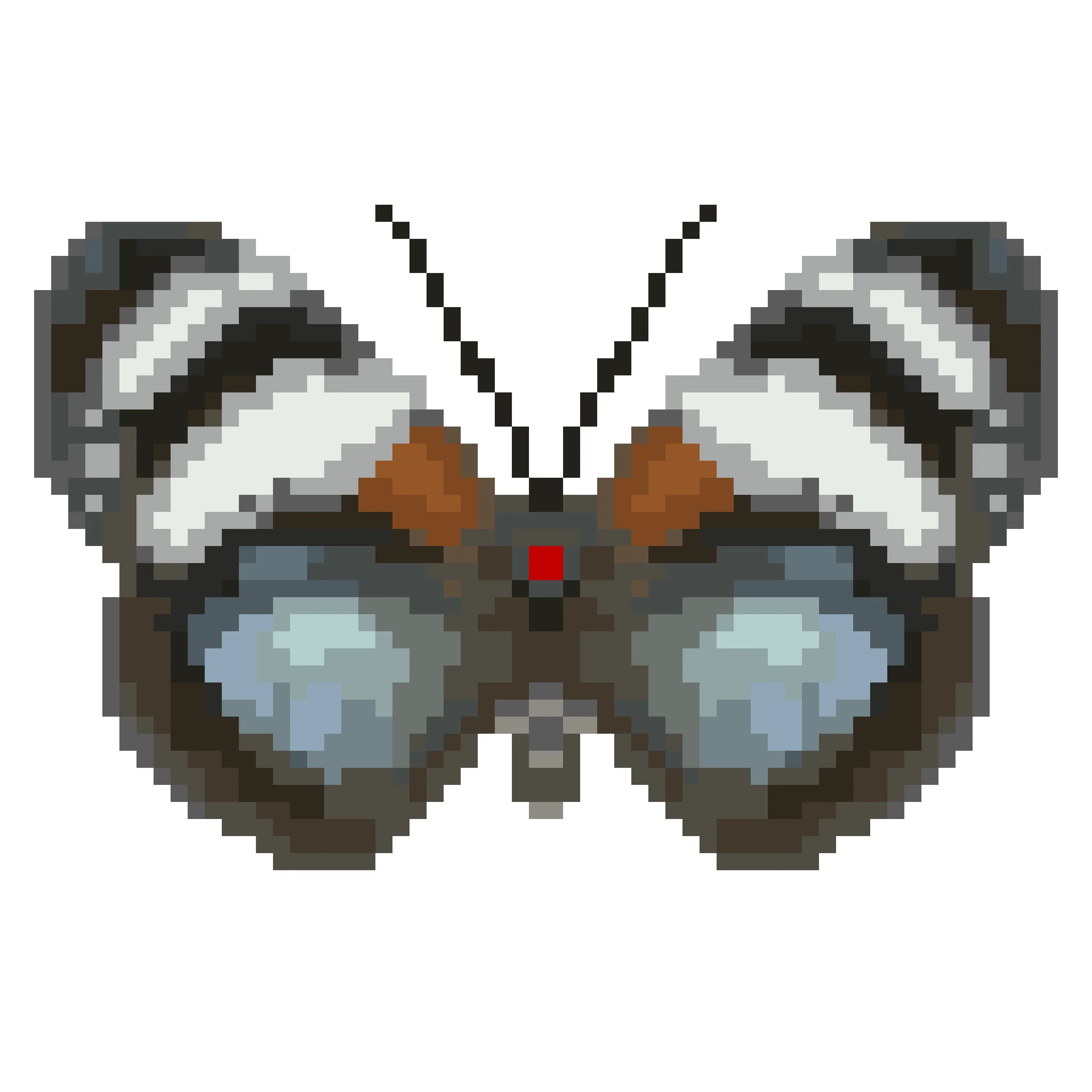 Wingpin#0156-Euxanthe trajanus.jpg