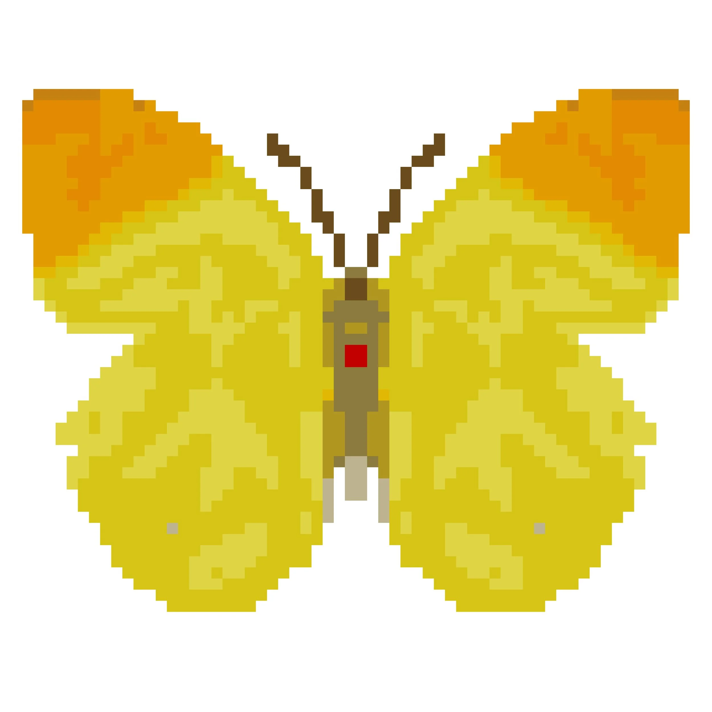 Wingpin#0081-Afrodryas leda.jpg