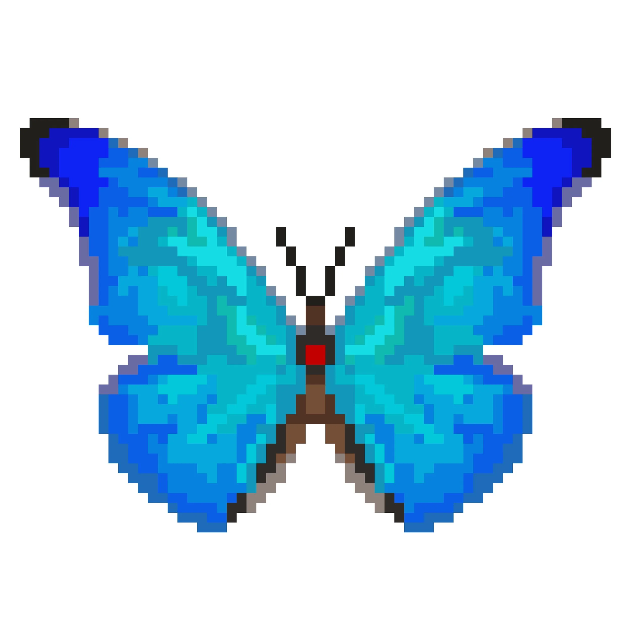 Wingpin#0528-Morpho anaxibia.jpg