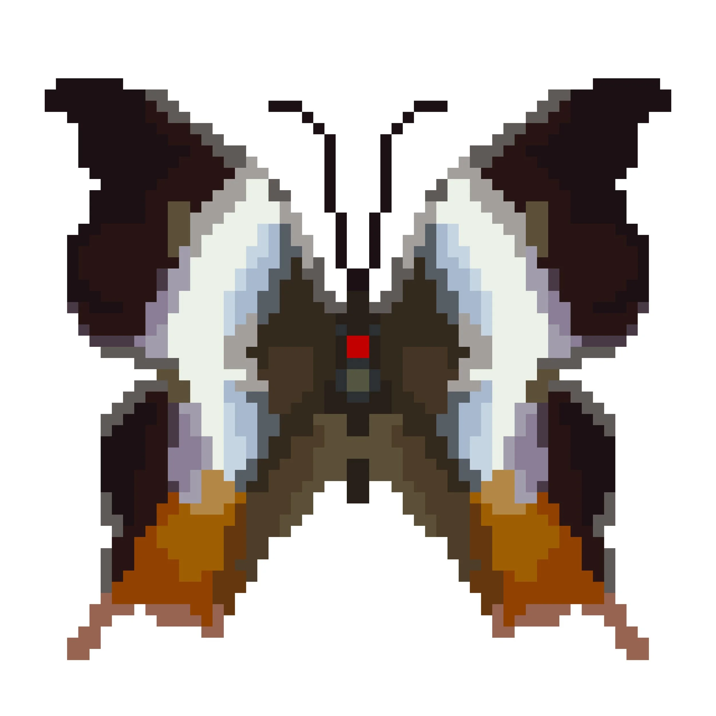 Wingpin#0188-Palla decius.jpg