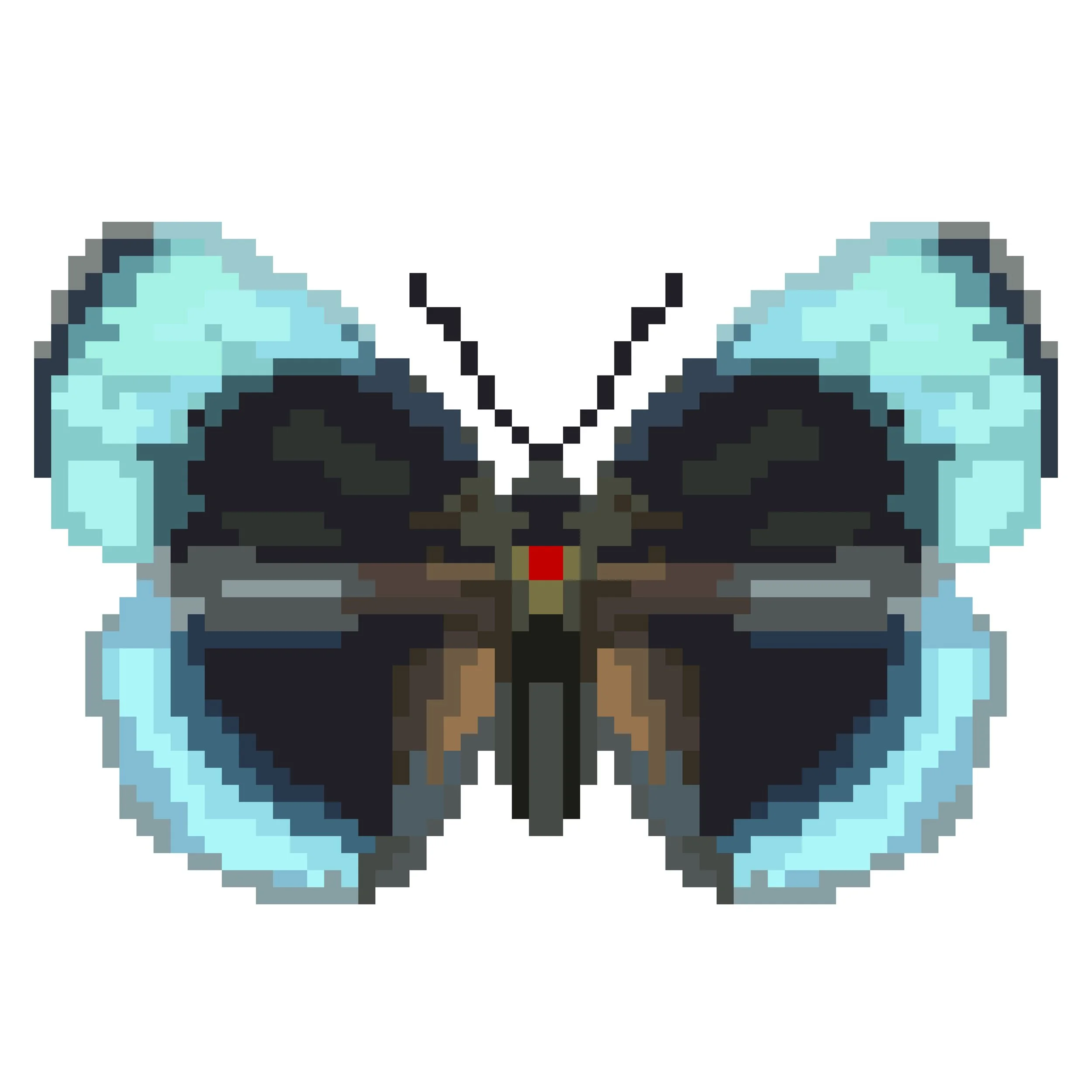 Wingpin#0698-Asterope optima.jpg