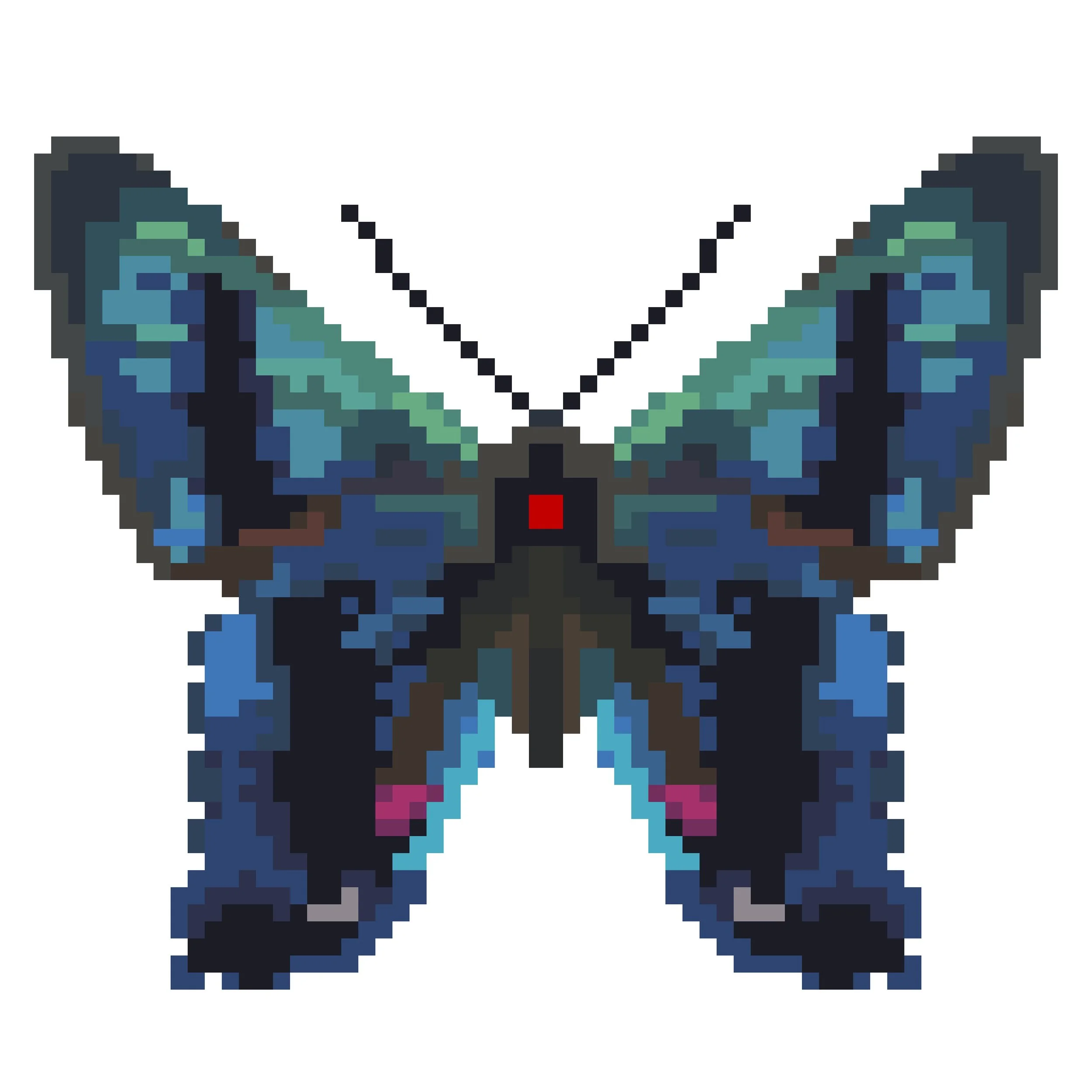 Wingpin#0791-Ancyluris mira.jpg