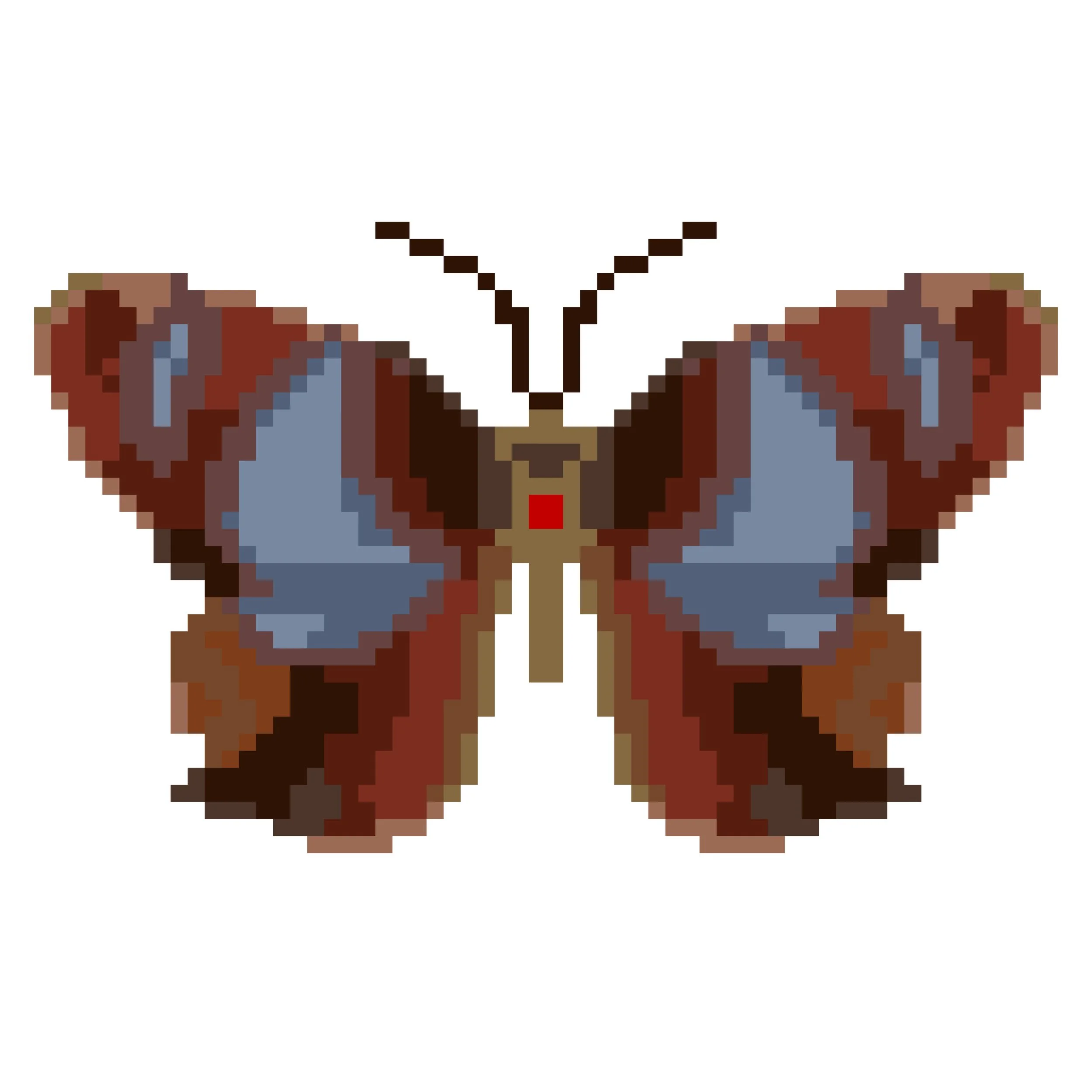 Wingpin#0077-Abisara tantalus.jpg