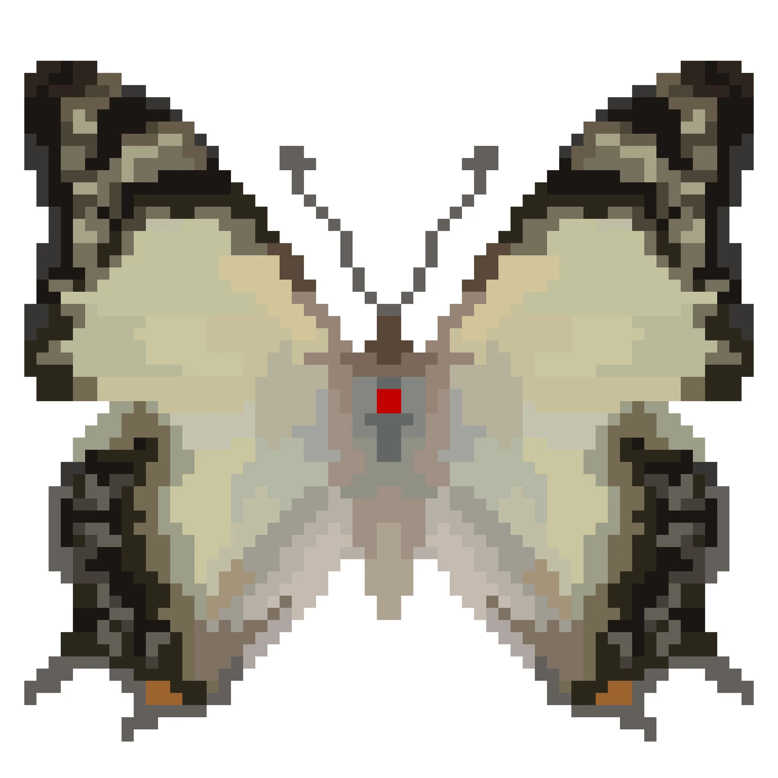 Wingpin#0827-Polyura semprionius.jpg