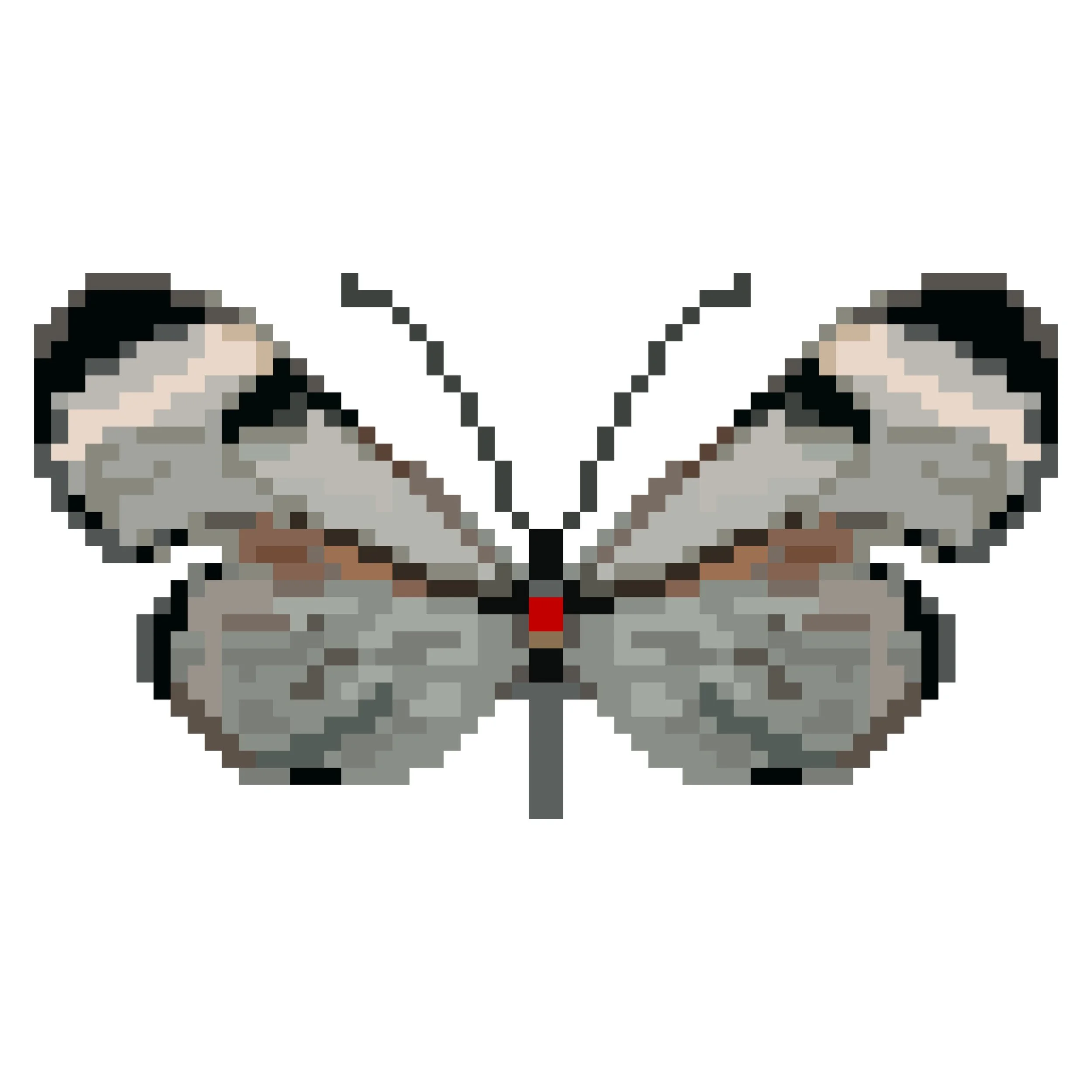 Wingpin#0660-Aremfoxia ferra.jpg