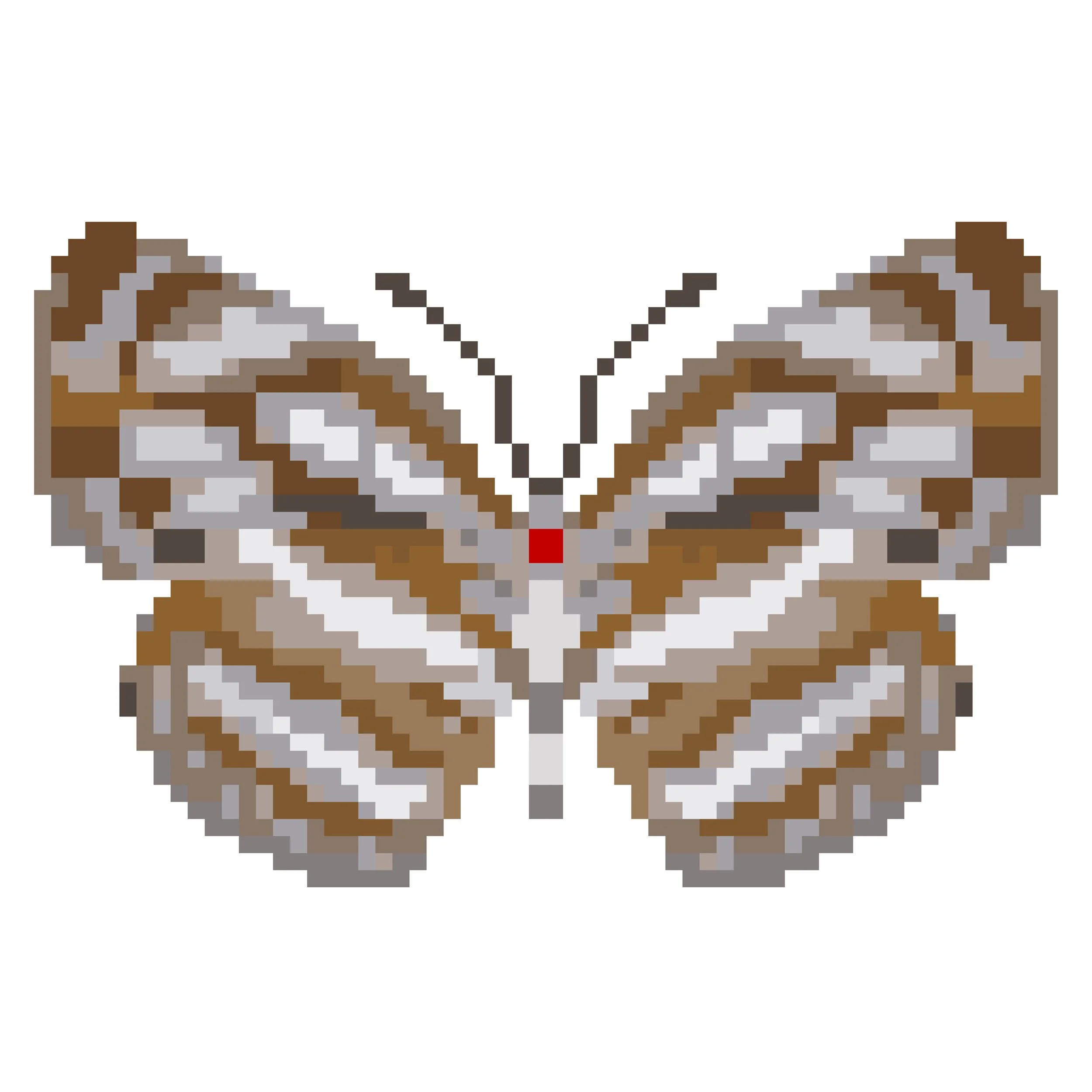 Wingpin#0533-Neptis hylas.jpg