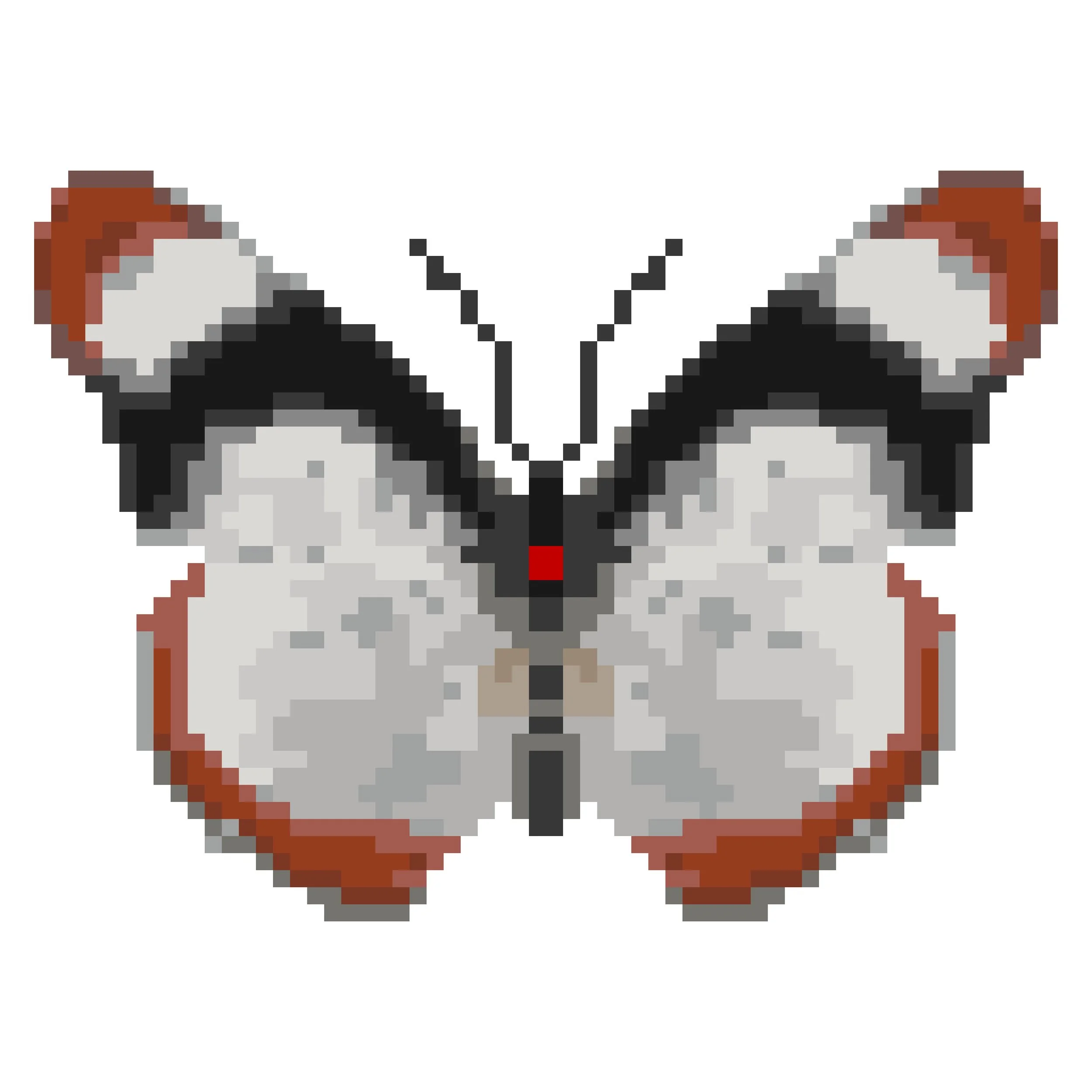 Wingpin#0185-Hypolimnas usambara.jpg