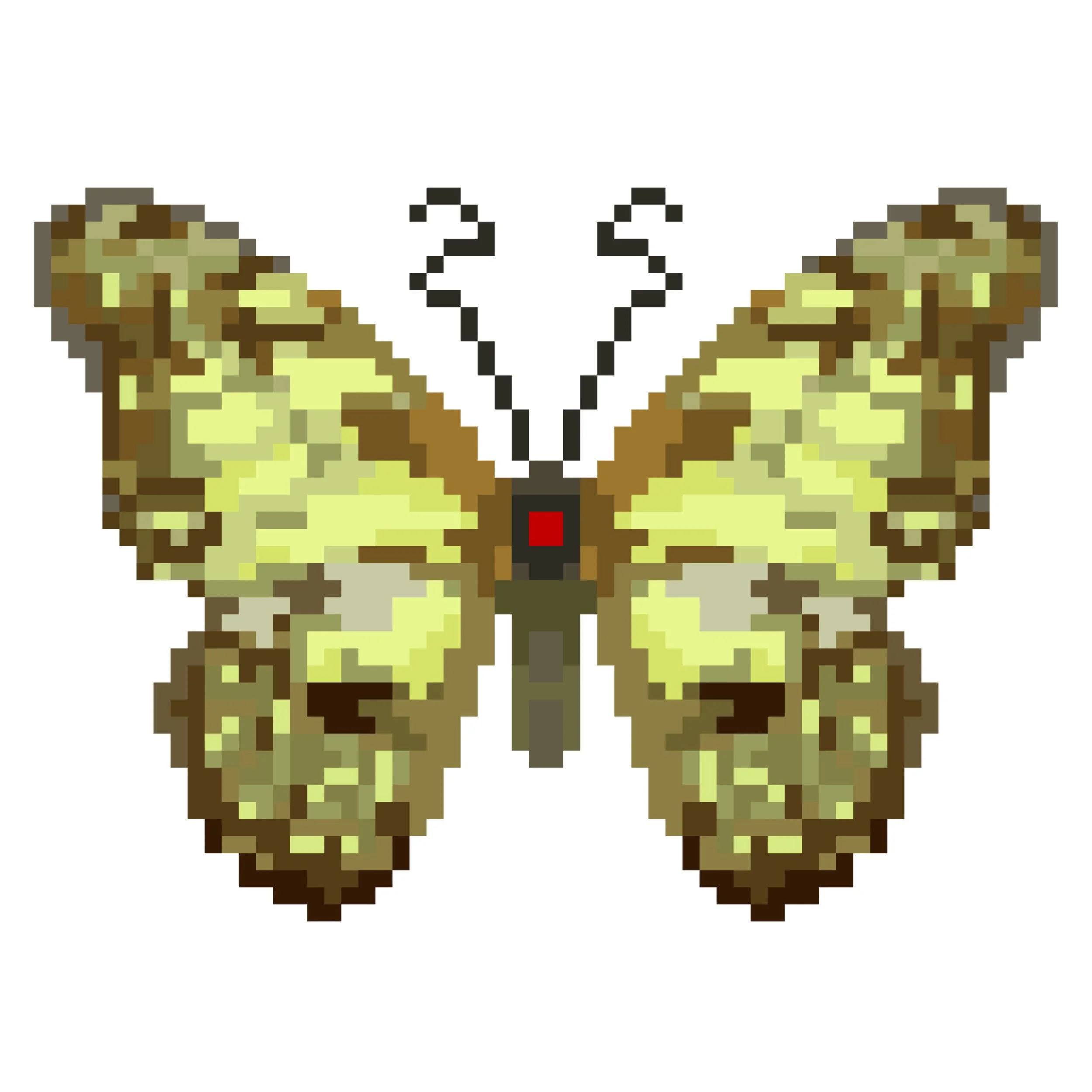 Wingpin#0906-Graphium cyrnus nuscyrnus.jpg