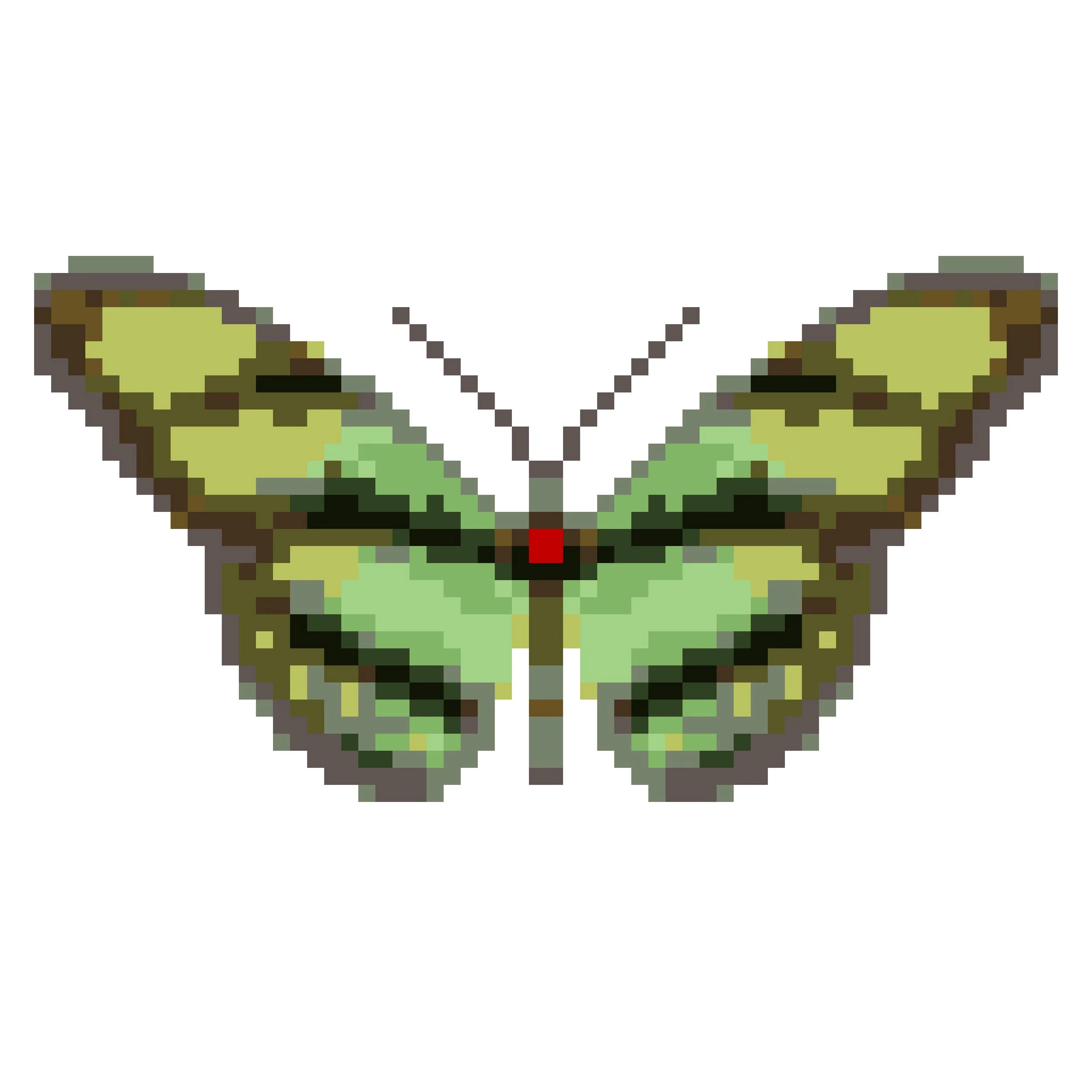 Wingpin#0047-Philaethria dido chocoensis.jpg