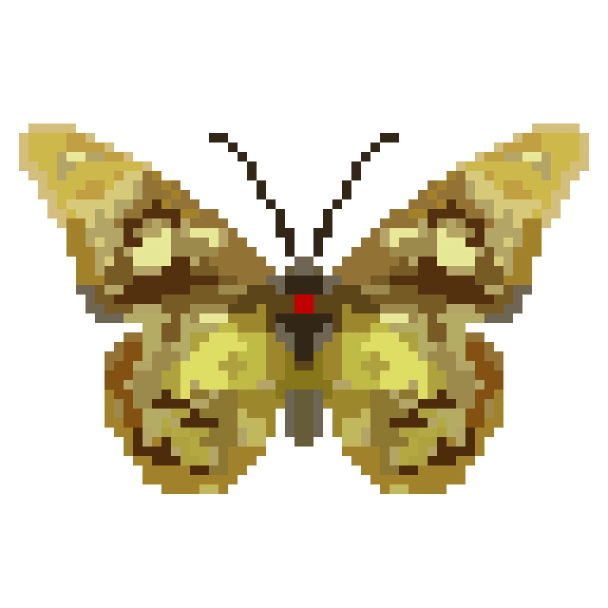 Wingpin#0668-Amauris comorana.jpg