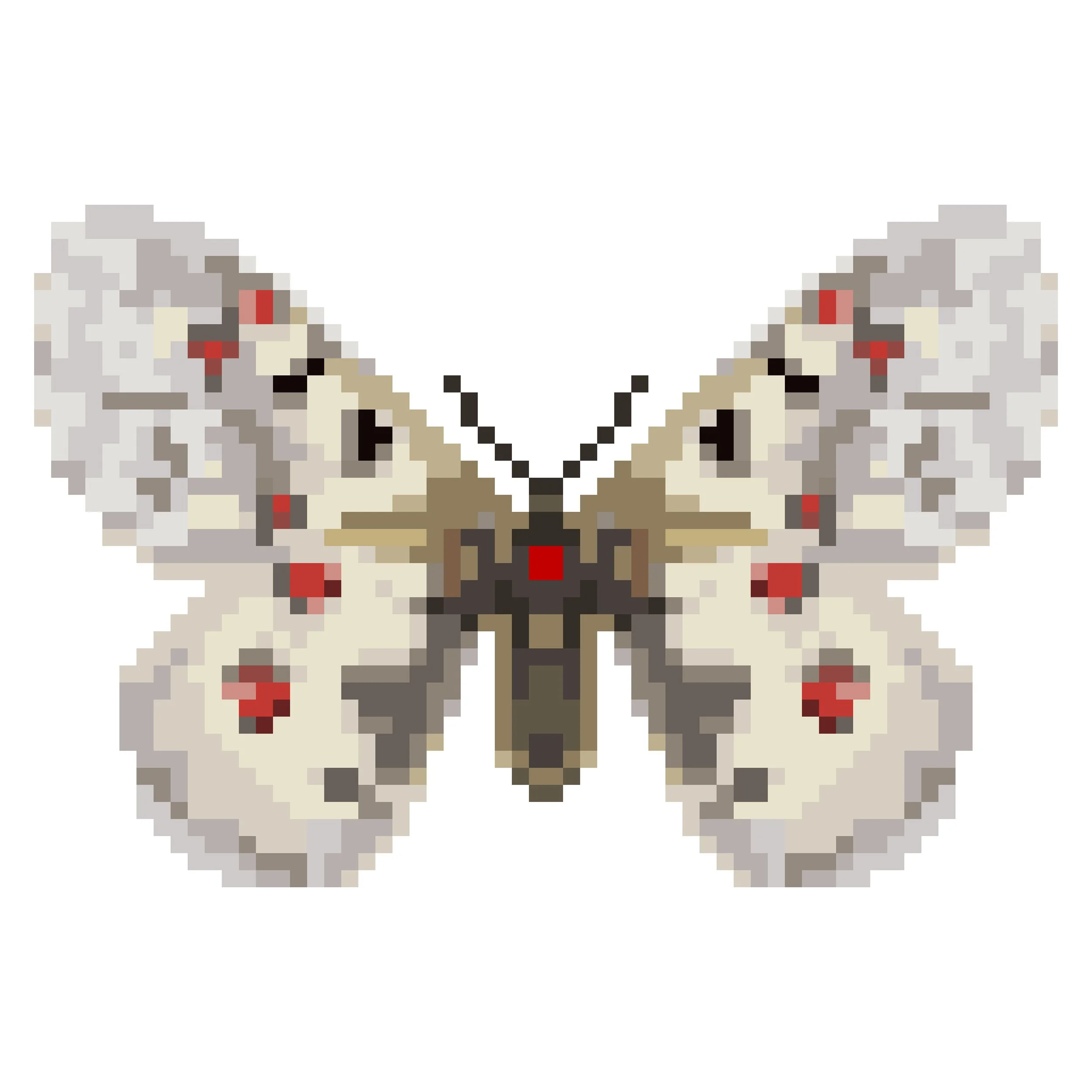 Wingpin#0482-Parnassius apollo.jpg