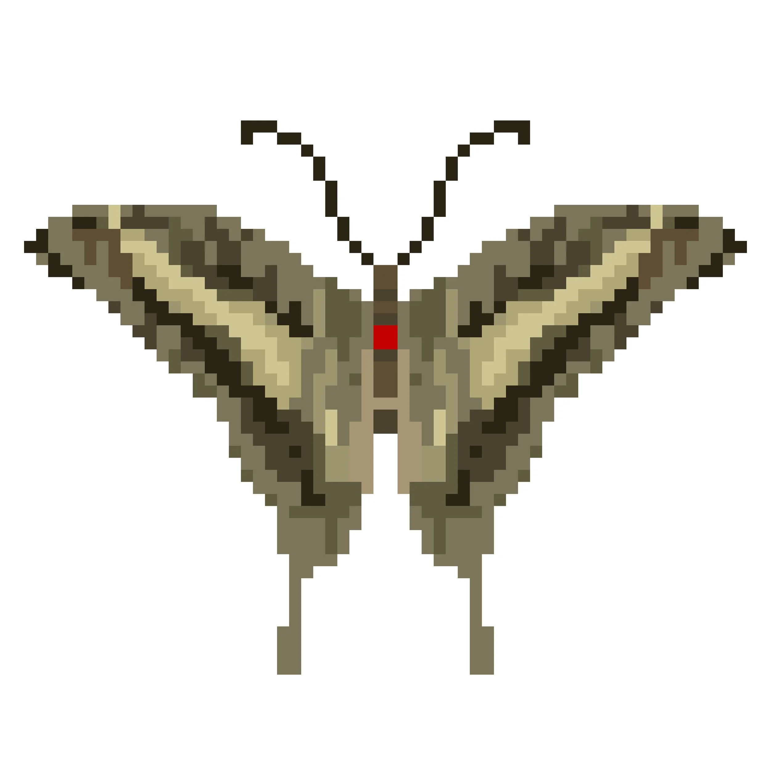 Wingpin#0167-Graphium porthaon.jpg