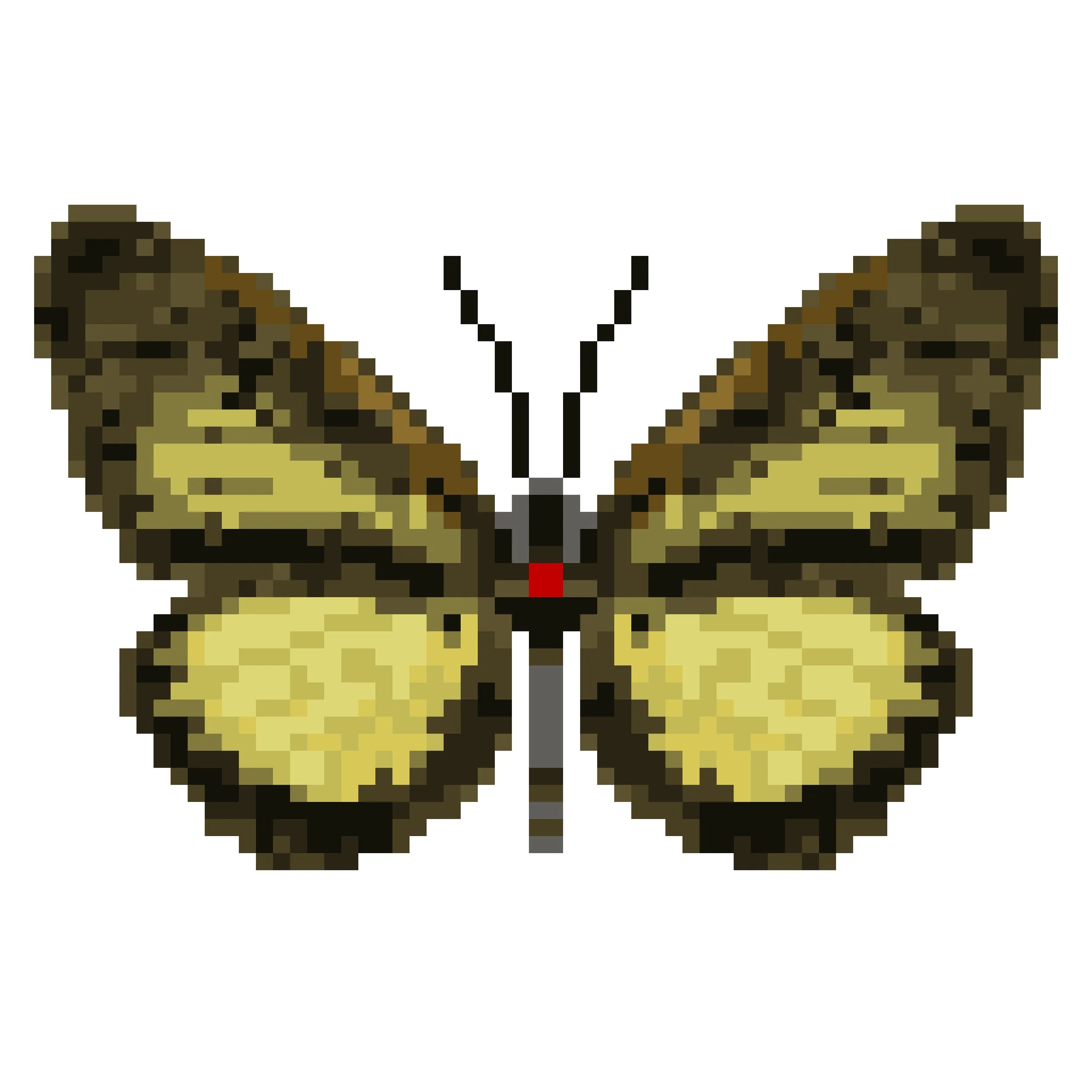 Wingpin#0129-Mesoxantha.jpg