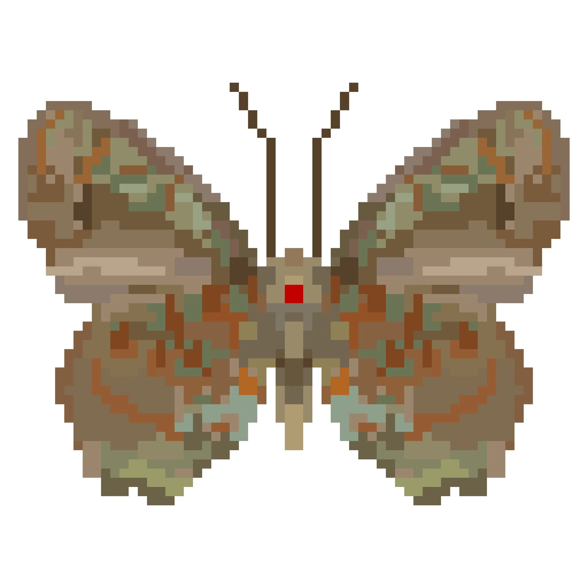 Wingpin#0623-Hypochrysops pythias drucei.jpg