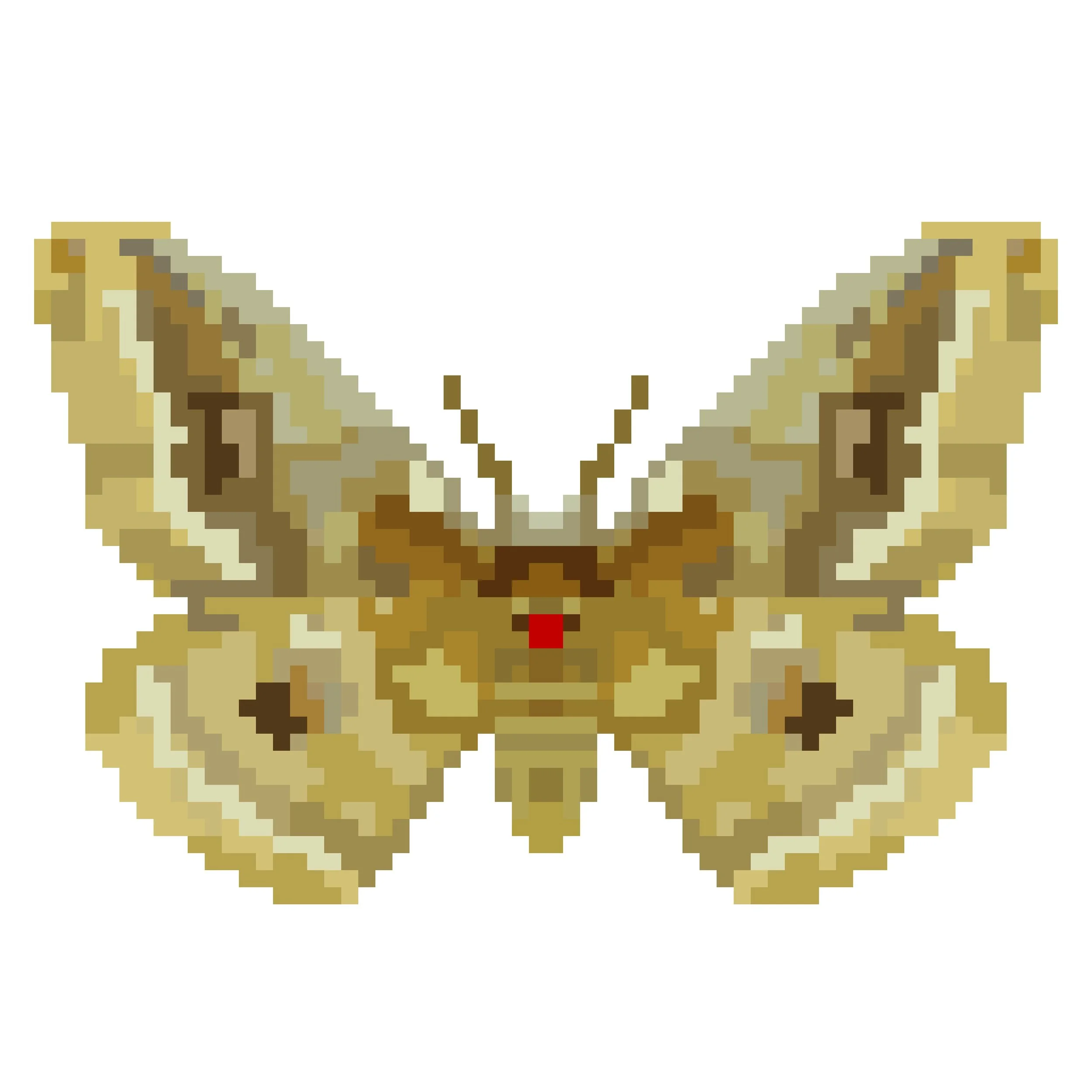 Wingpin#0898-Neonis huttoni.jpg