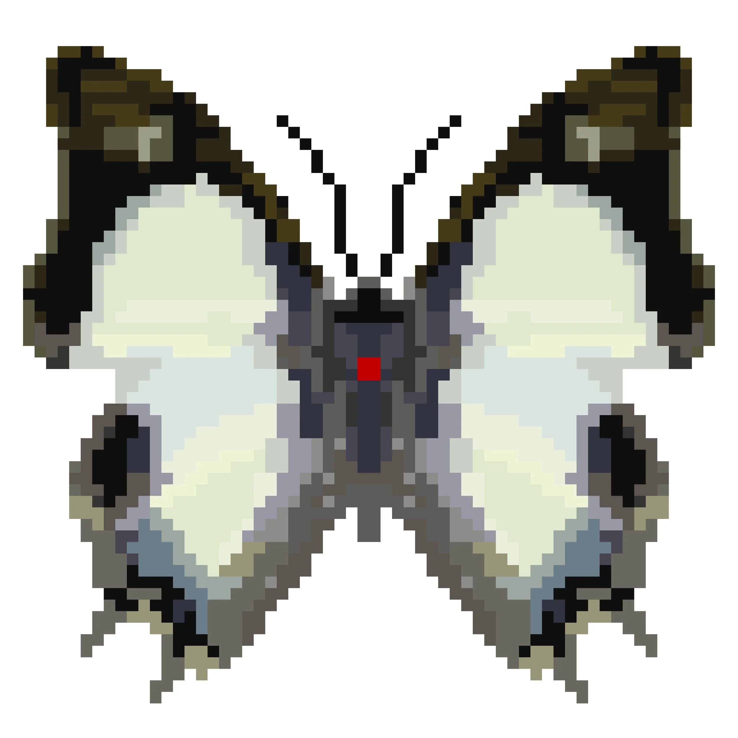 Wingpin#0298-Charaxes moori.jpg