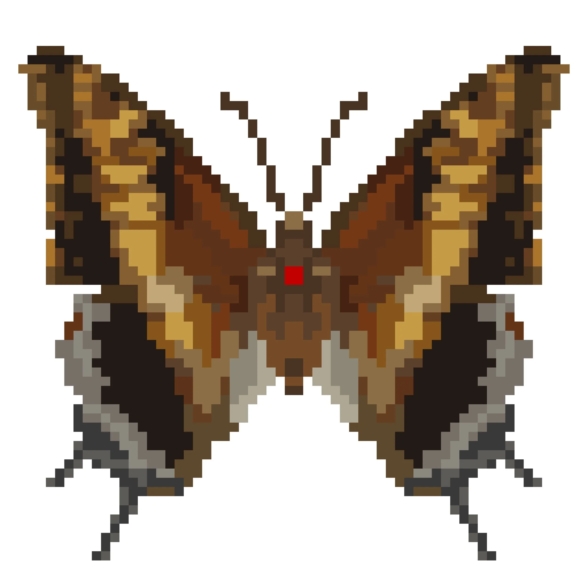 Wingpin#0339-Charaxes achaemenes.jpg