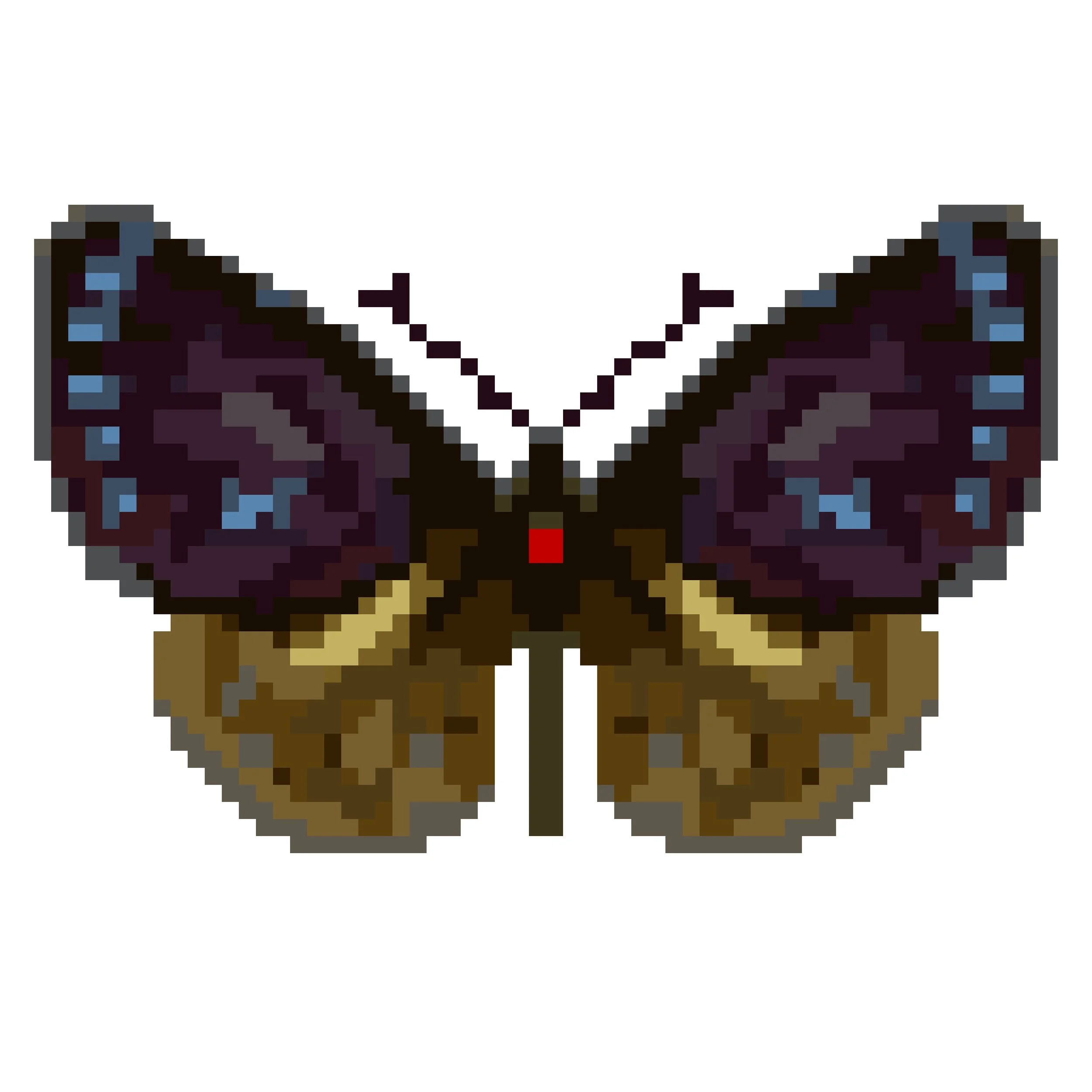 Wingpin#0478-Euploea eunice.jpg