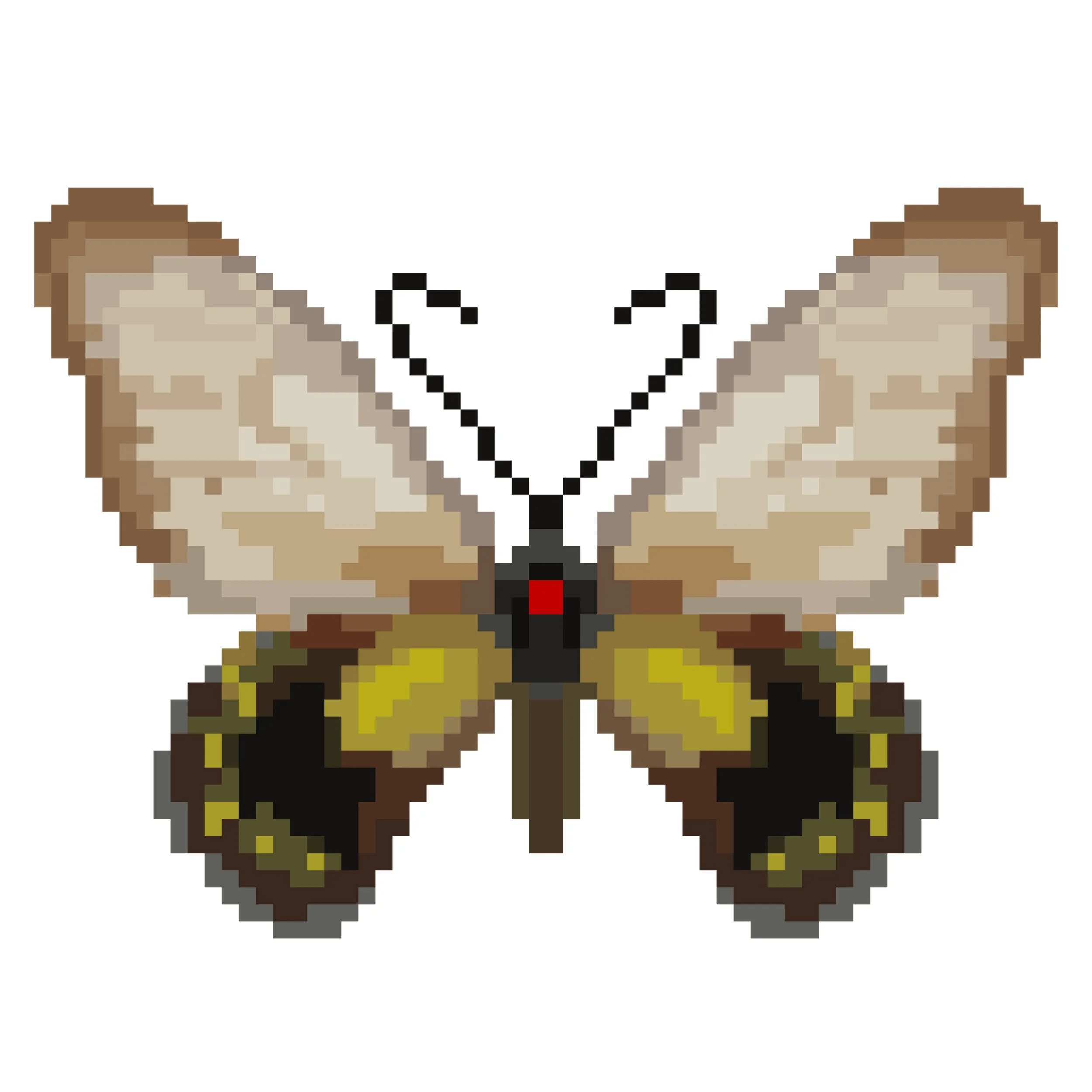 Wingpin#0714-Troides andromache.jpg