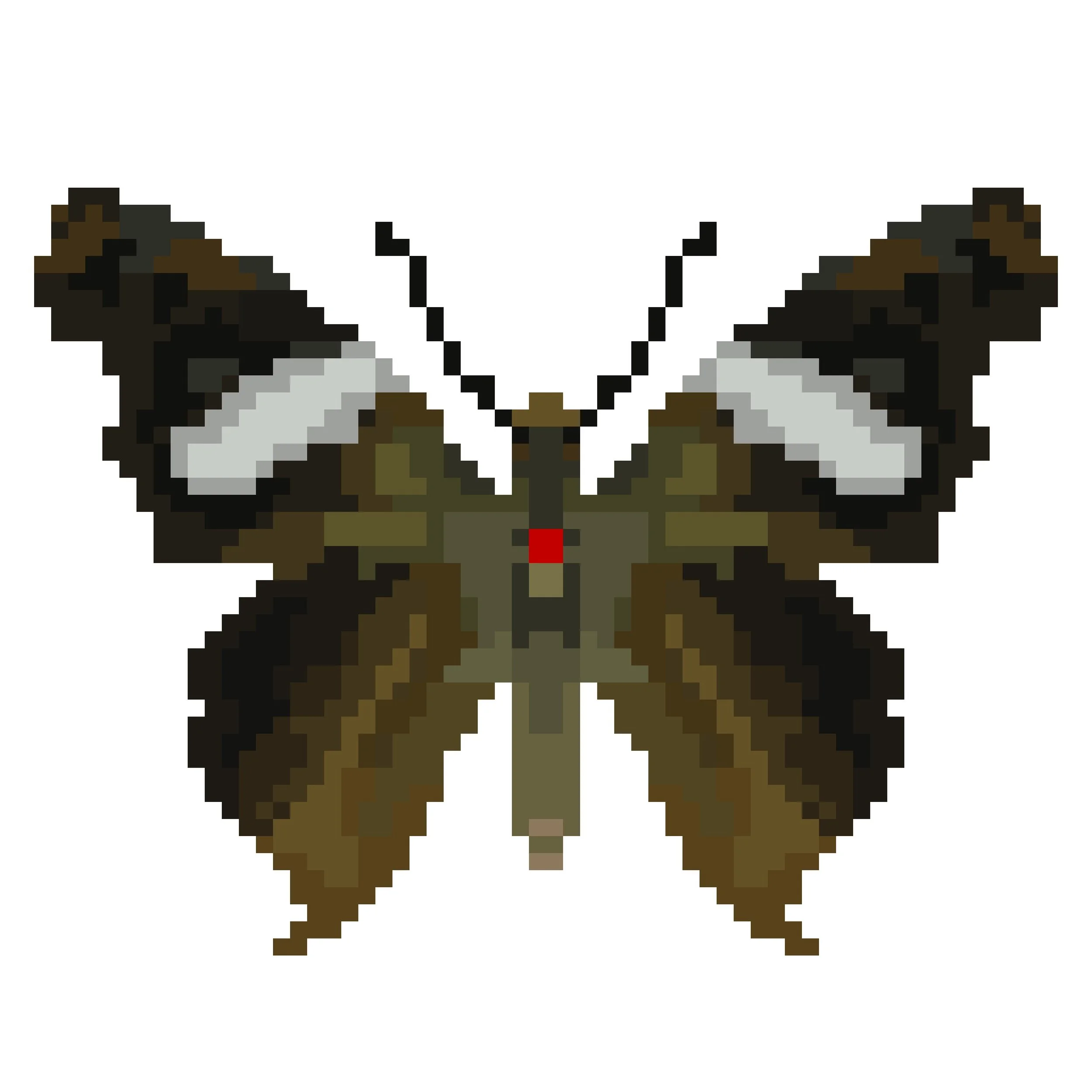Wingpin#0688-Spathilepia clonius.jpg