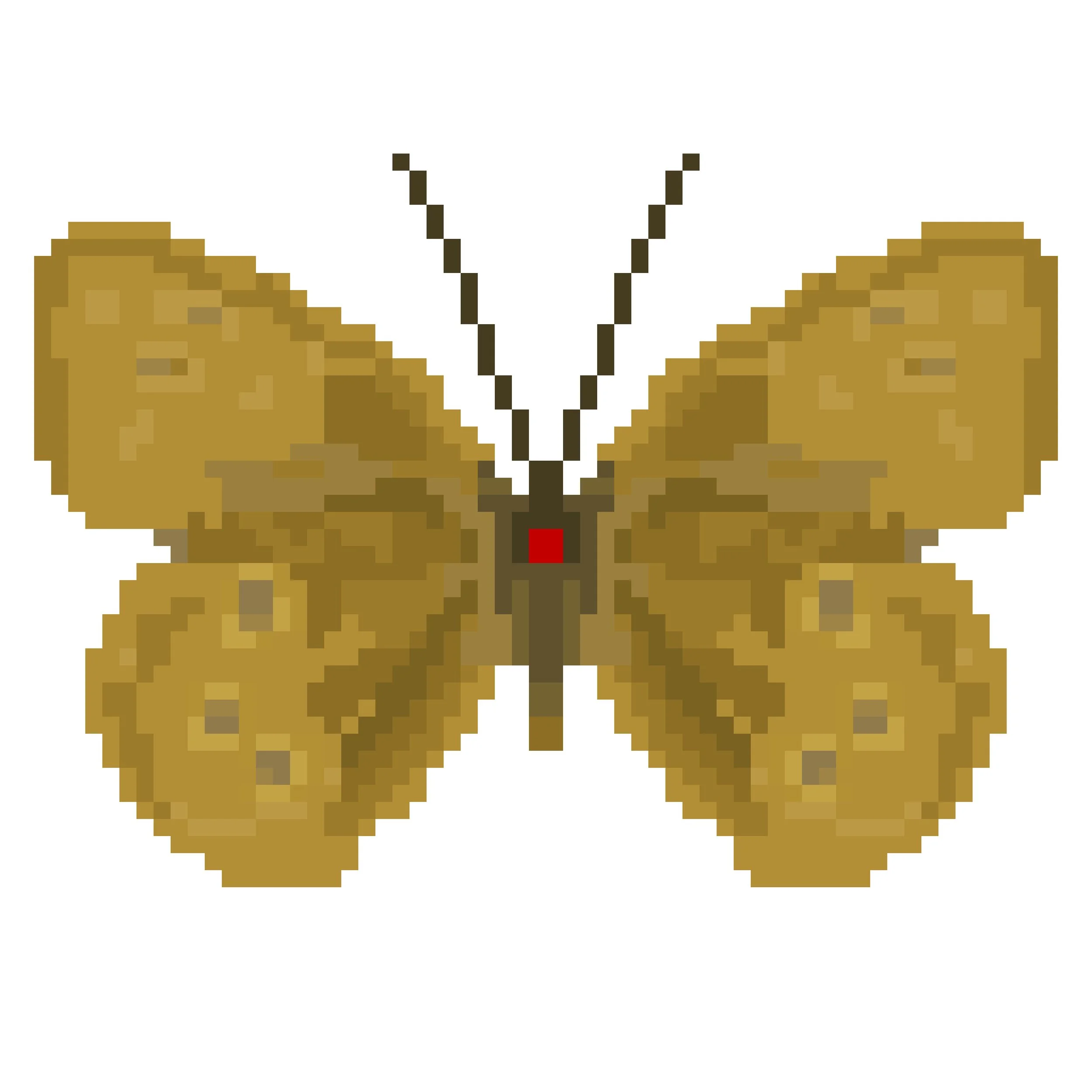 Wingpin#0137-Aphantopus hyperantus.jpg