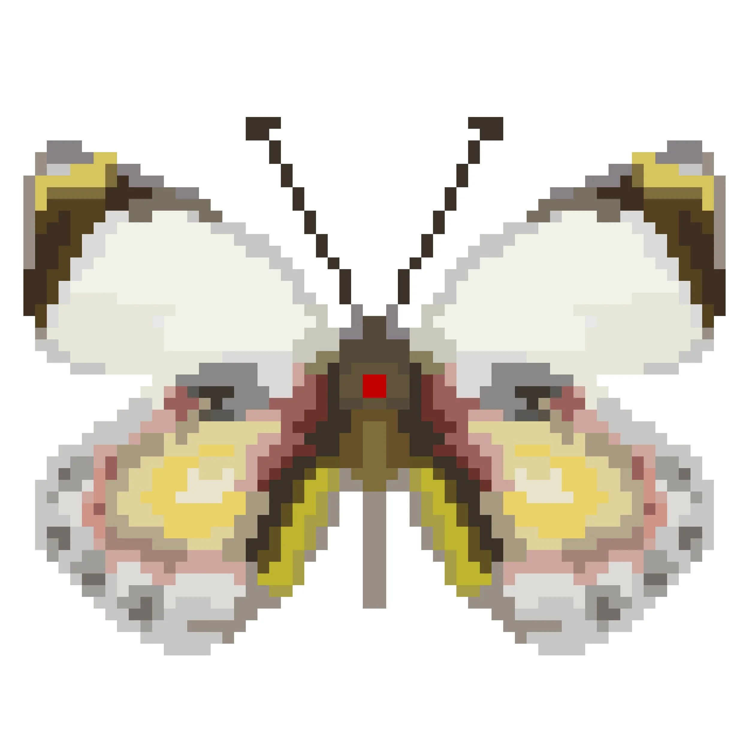 Wingpin#0765-Pieridae aureus.jpg