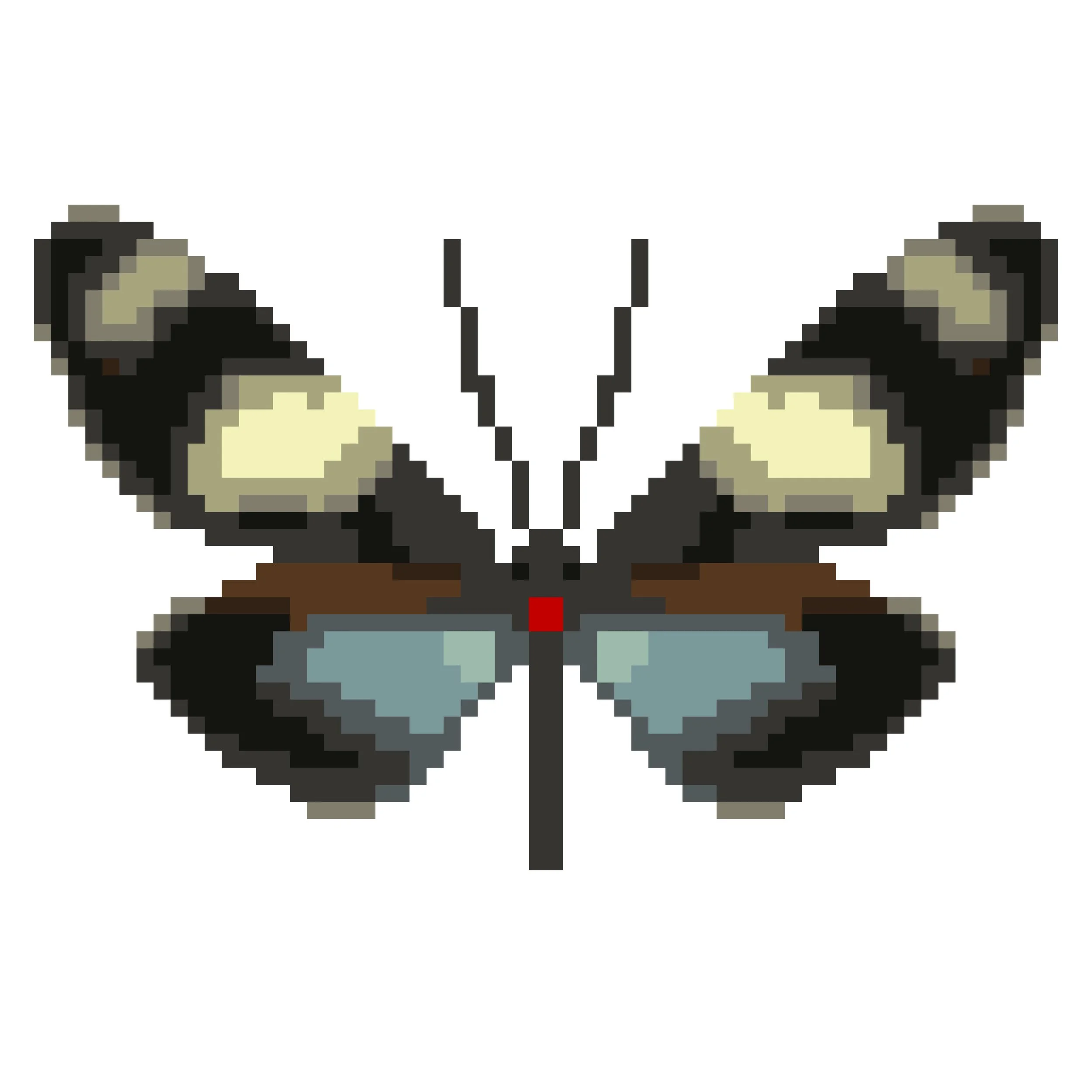 Wingpin#0071-Heliconius doris.jpg