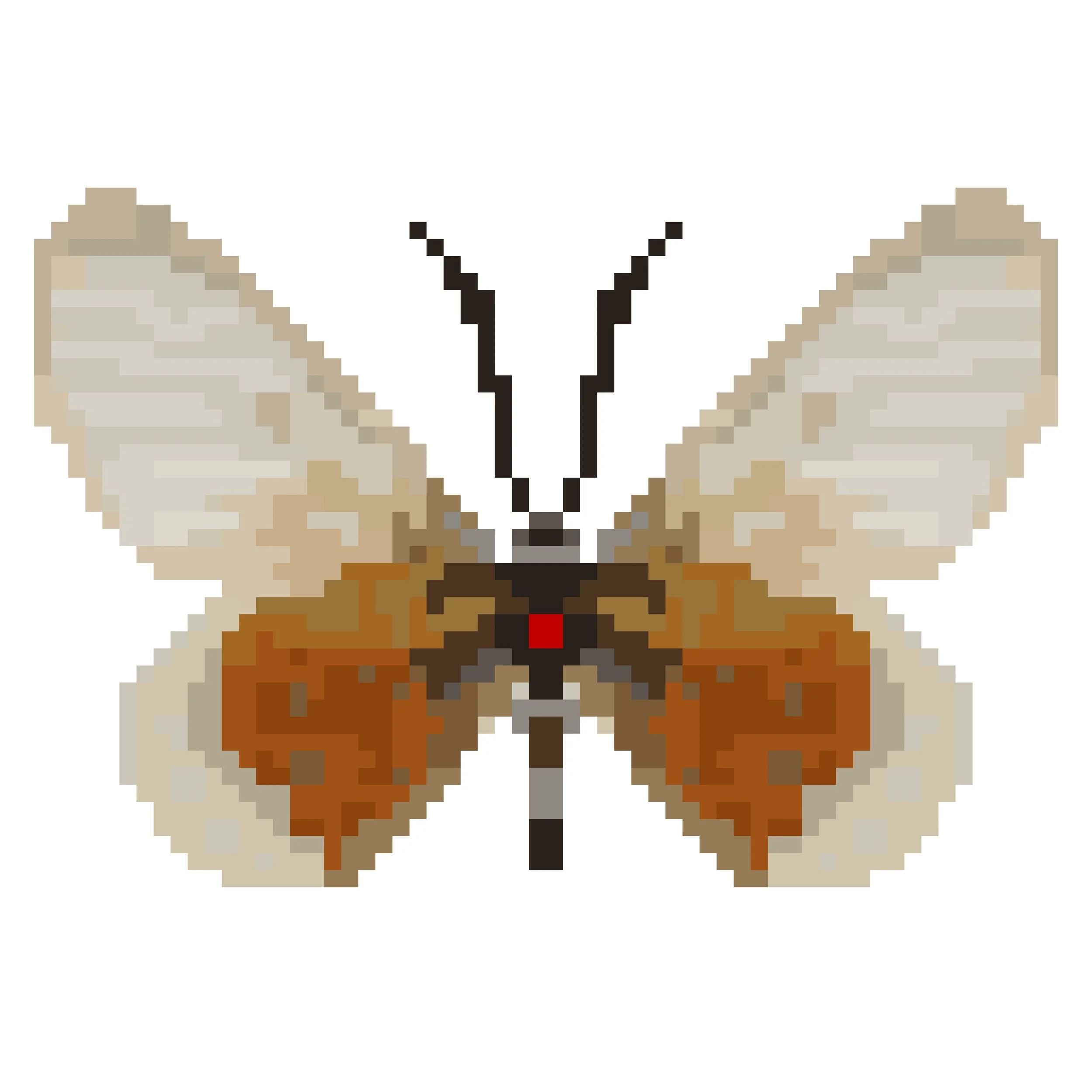 Wingpin#0163-Acraea quirina.jpg