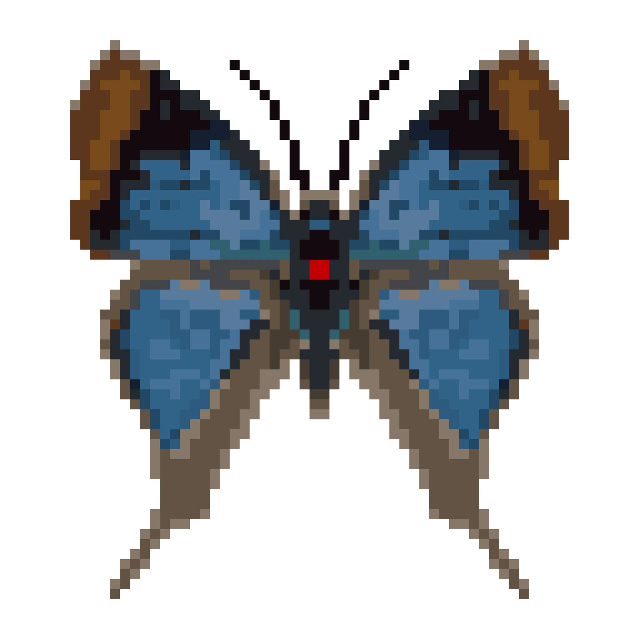 Wingpin#0122-Myrina silenus.jpg