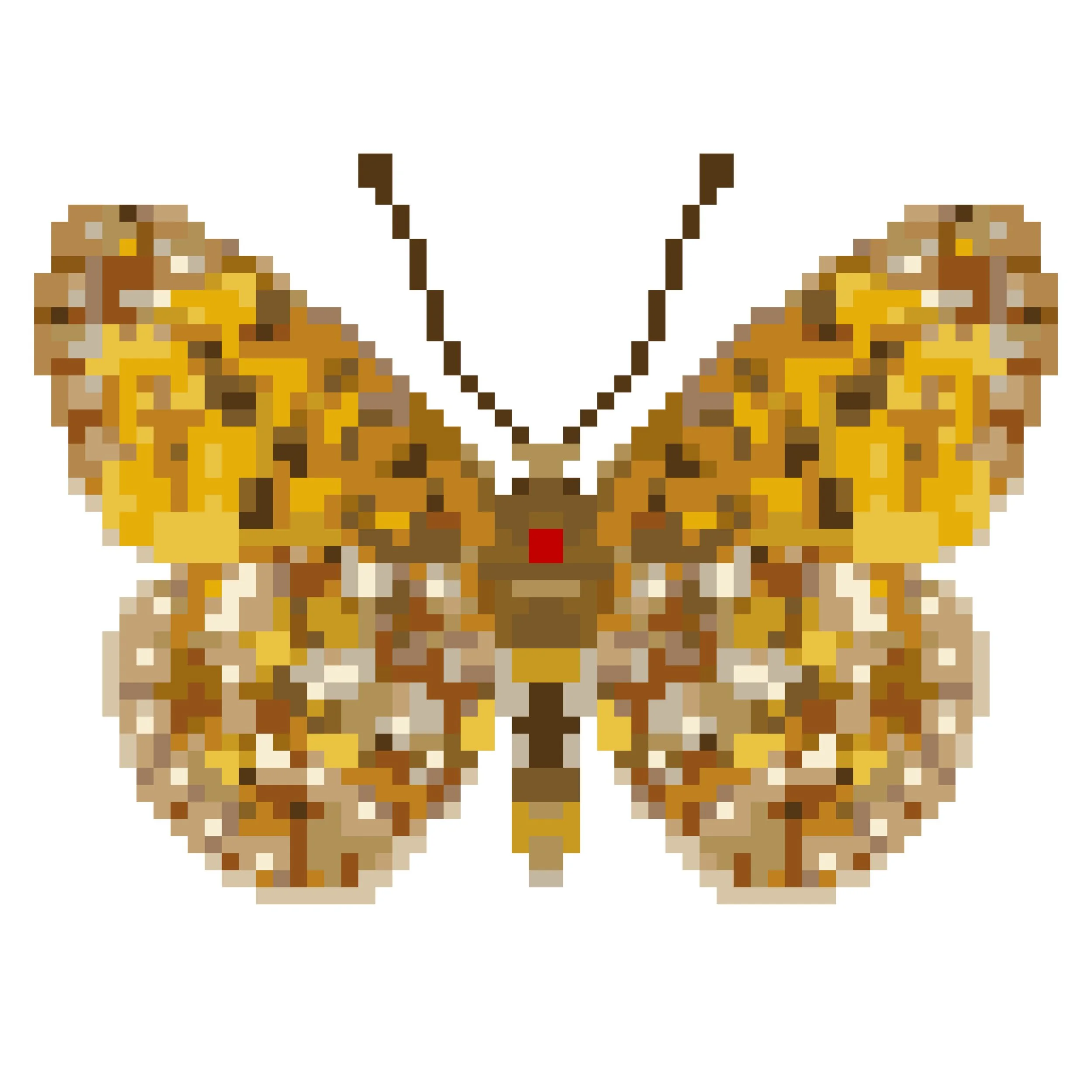 Wingpin#0124-Boloria bellona.jpg