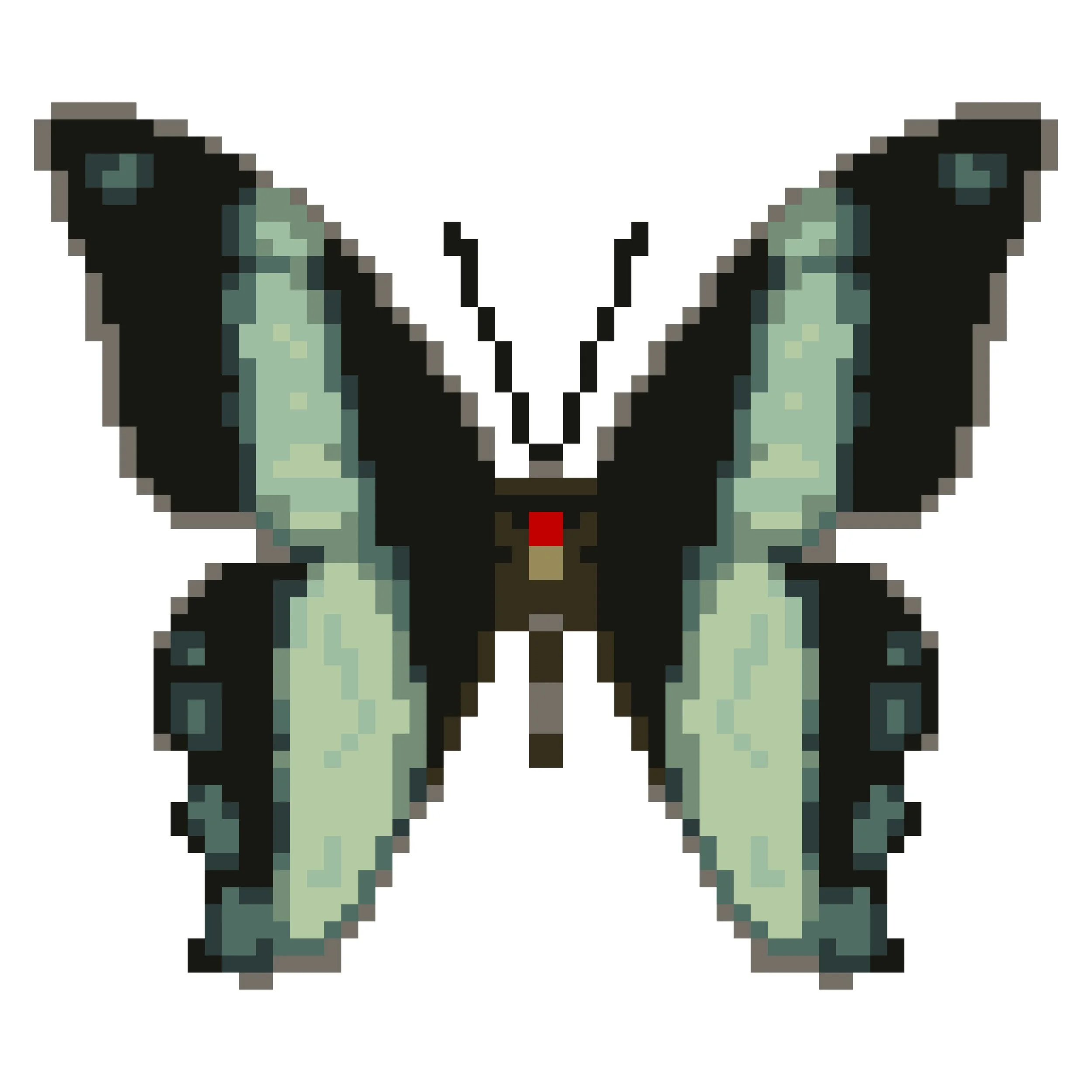 Wingpin#0079-Papilio sosia.jpg