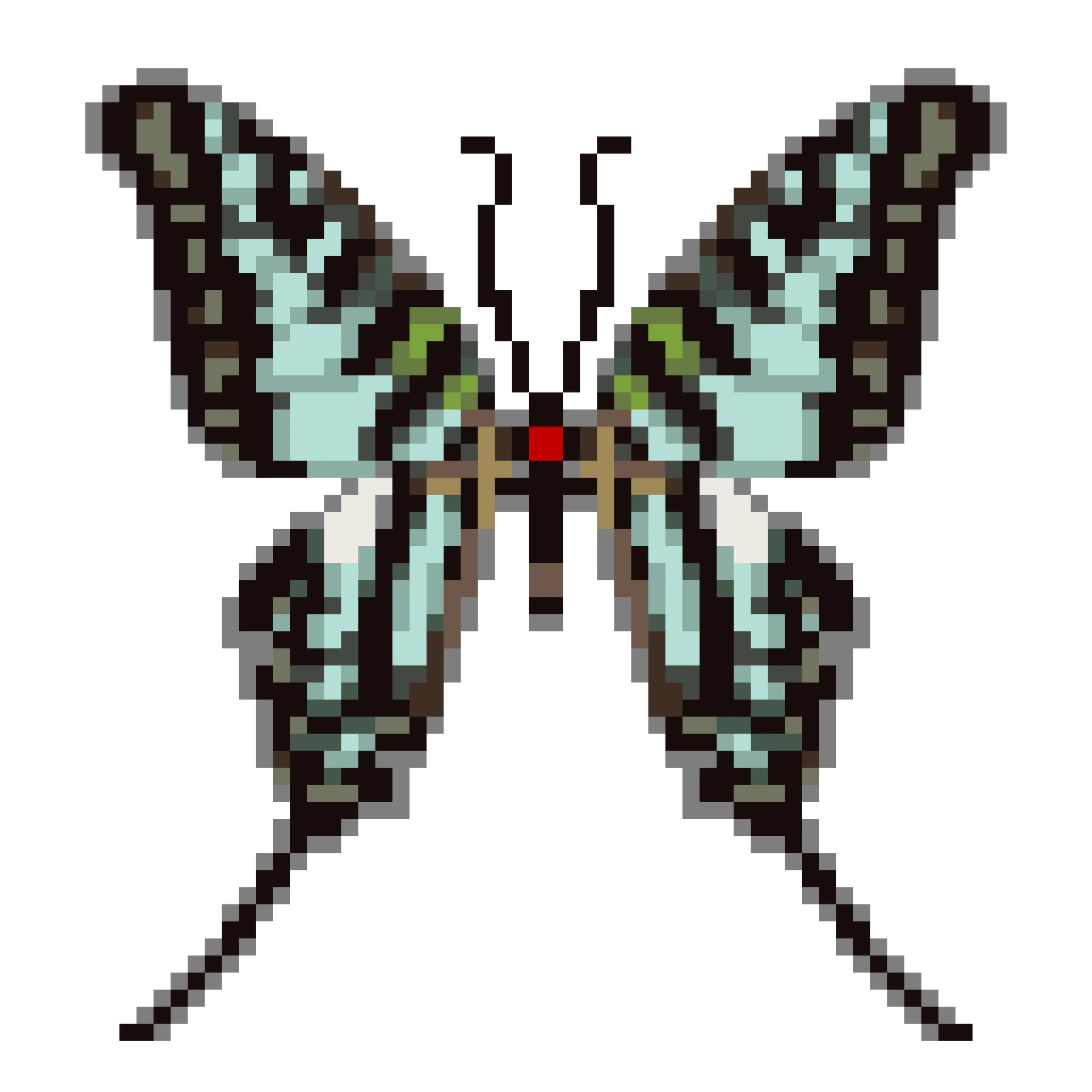 Wingpin#0172-Graphium policenes.jpg