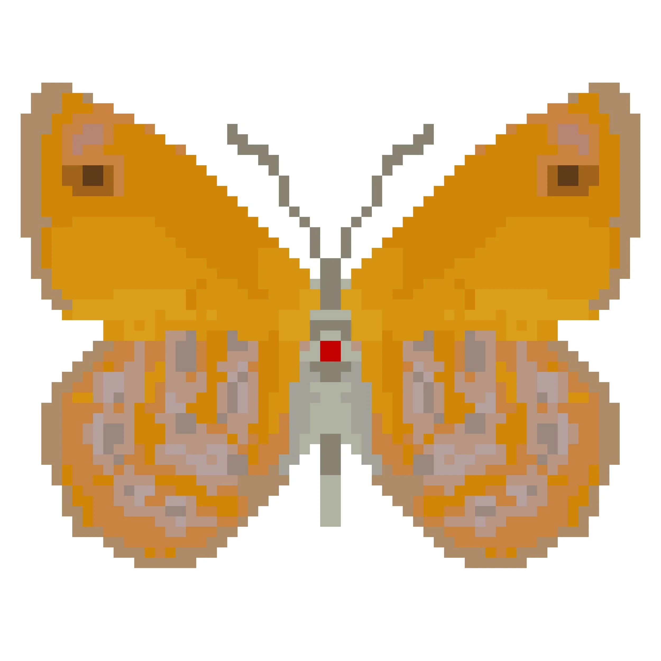 Wingpin#0108-Sevenia amulia.jpg