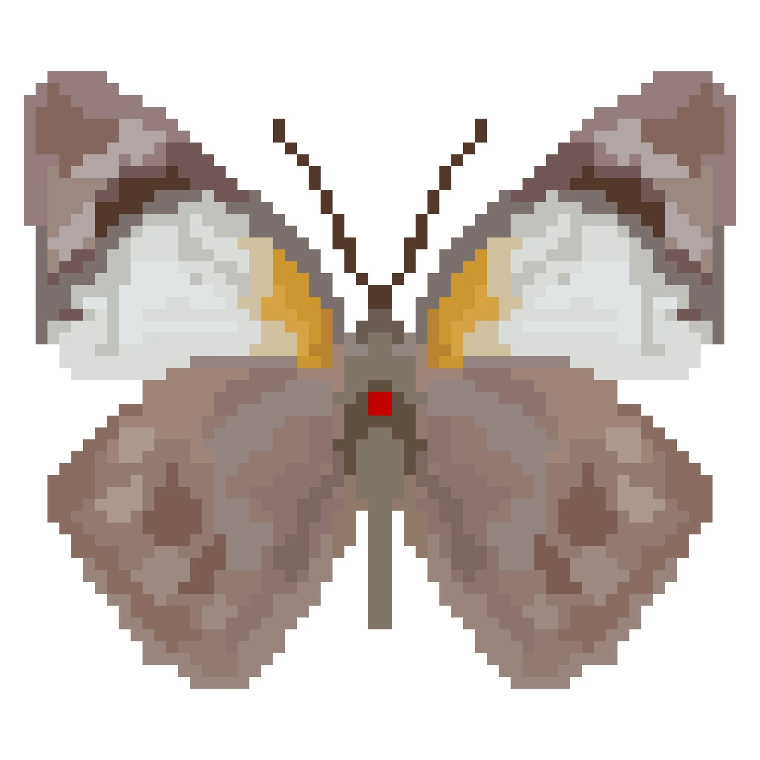 Wingpin#0665-Appias melania.jpg