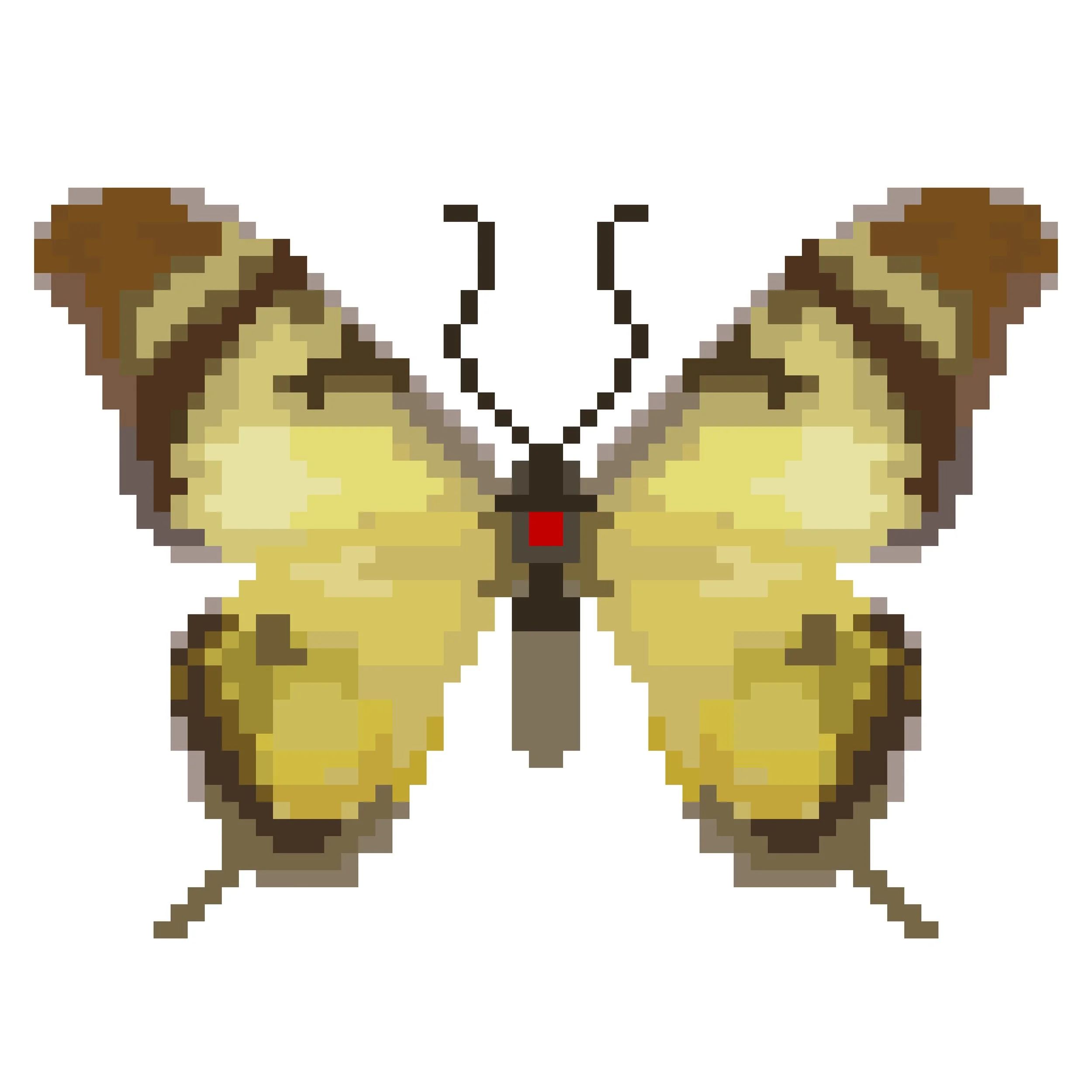 Wingpin#0750-Eurytides iphitas.jpg