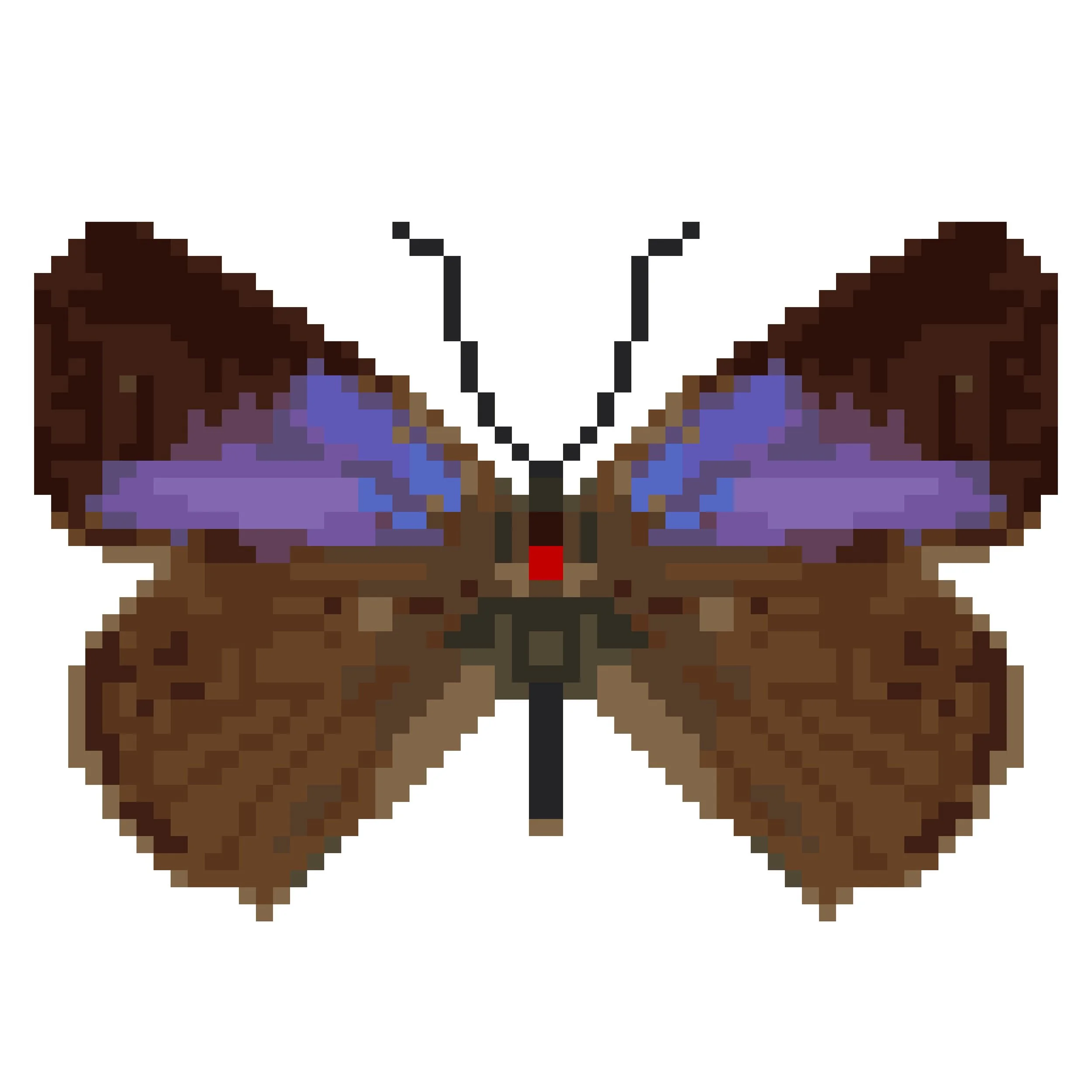 Wingpin#0132-Neozephyrus quercus.jpg