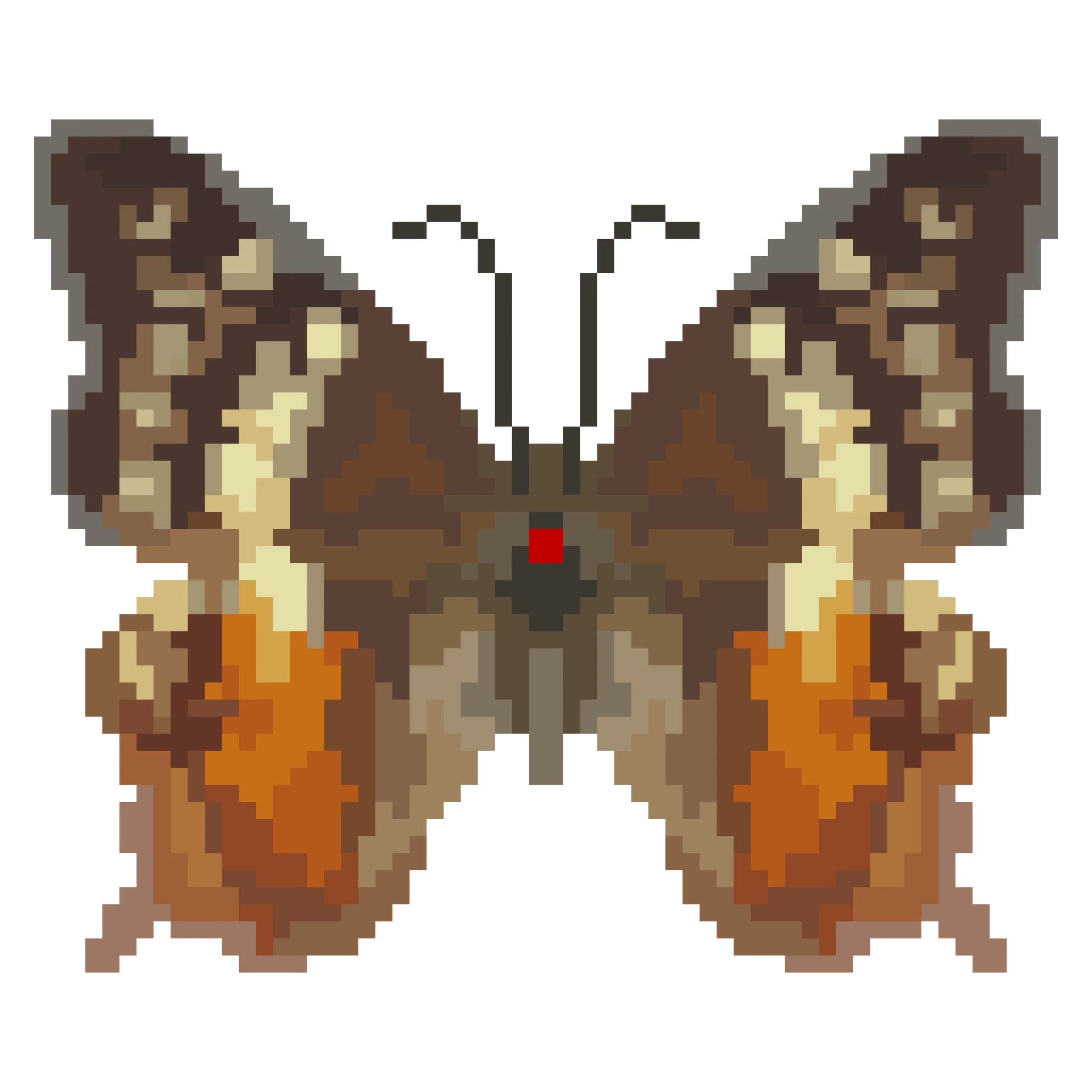 Wingpin#0853-Polyura gamma.jpg