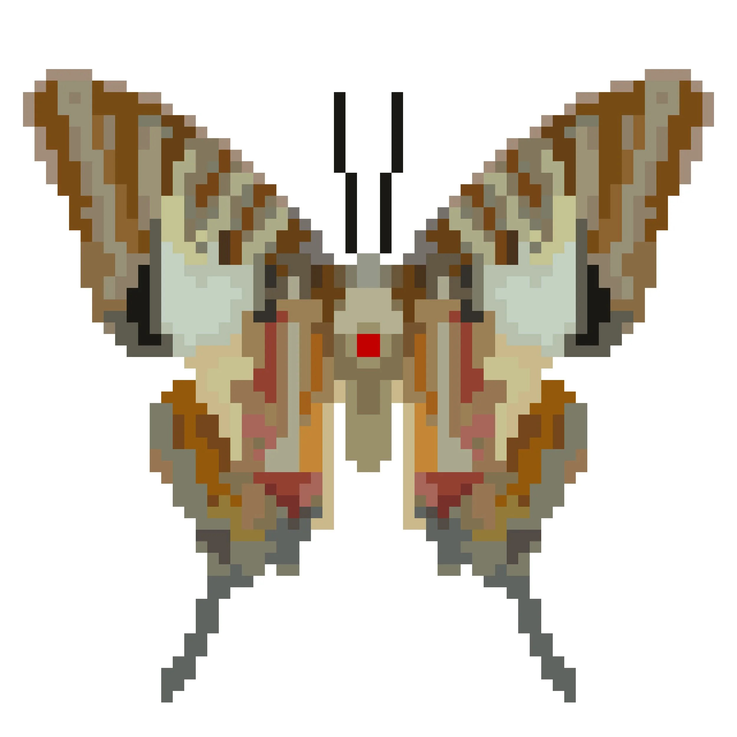Wingpin#0822-Graphium nomius.jpg