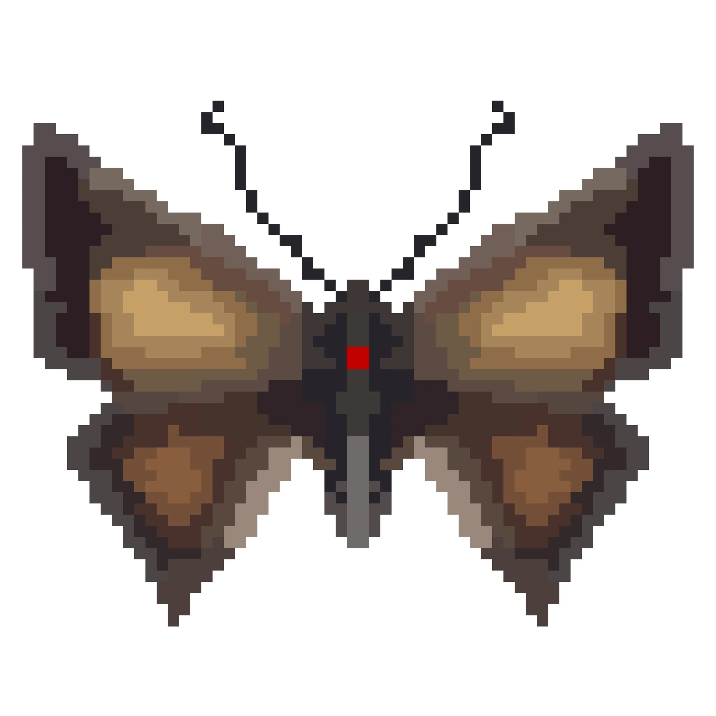 Wingpin#0680-Paralucia aurifer.jpg