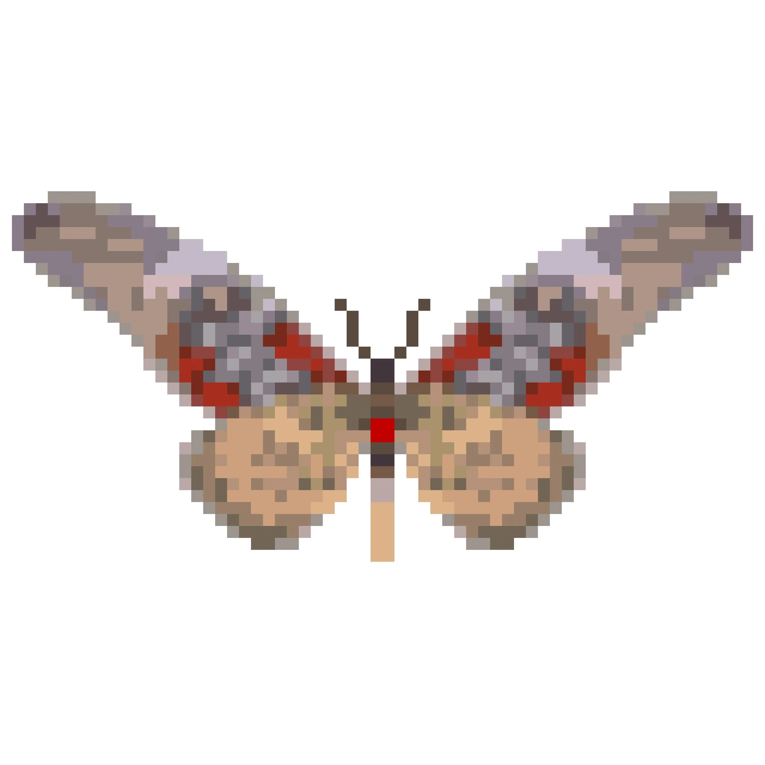 Wingpin#0116-Papilio antimachus.jpg