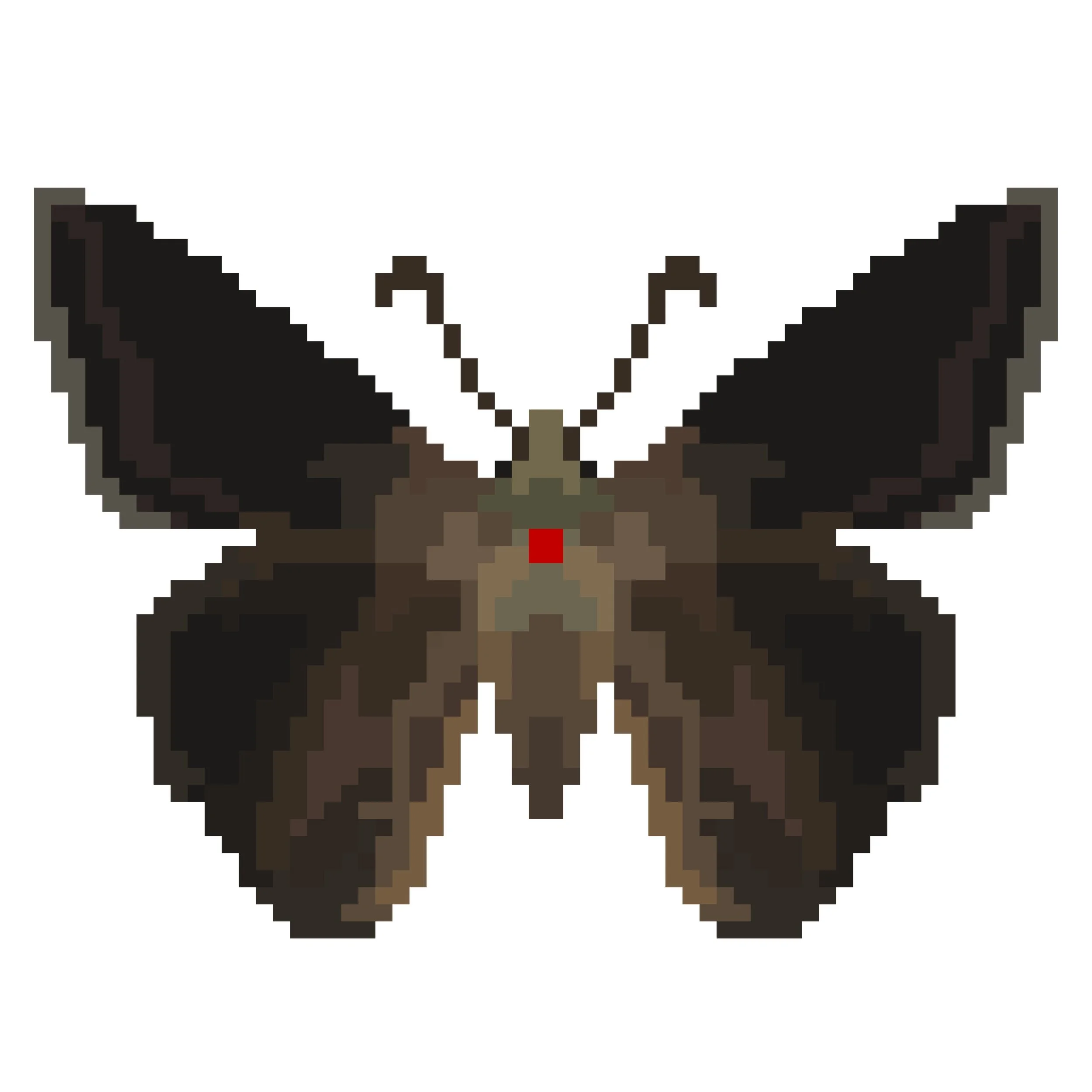 Wingpin#0979-Hasora chromus.jpg
