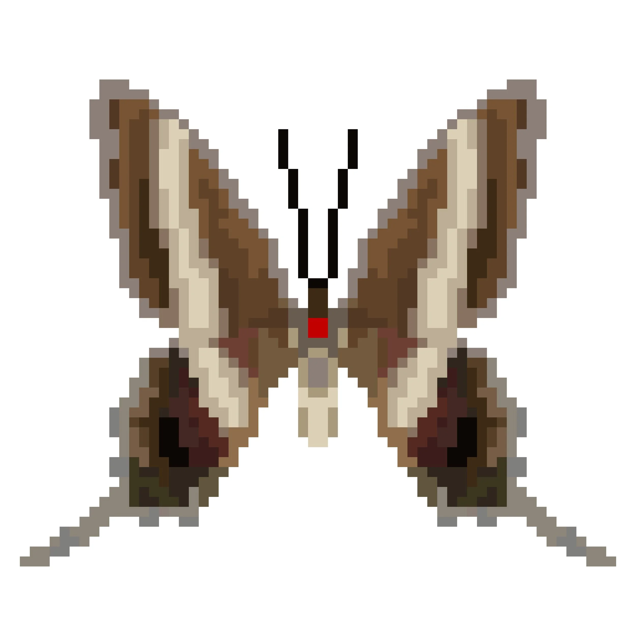 Wingpin#0308-Graphium illyris.jpg
