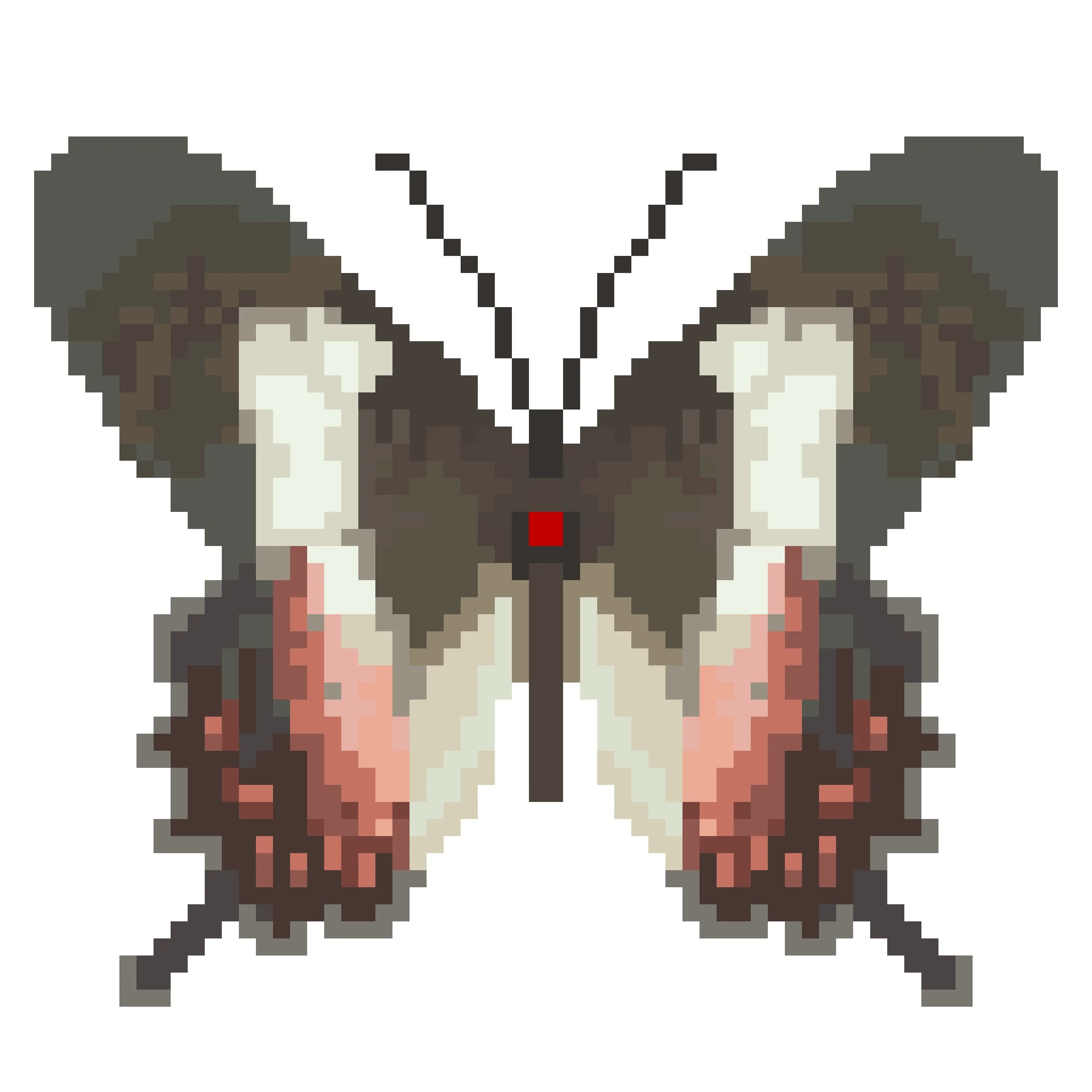 Wingpin#0792-Parides ascanius.jpg